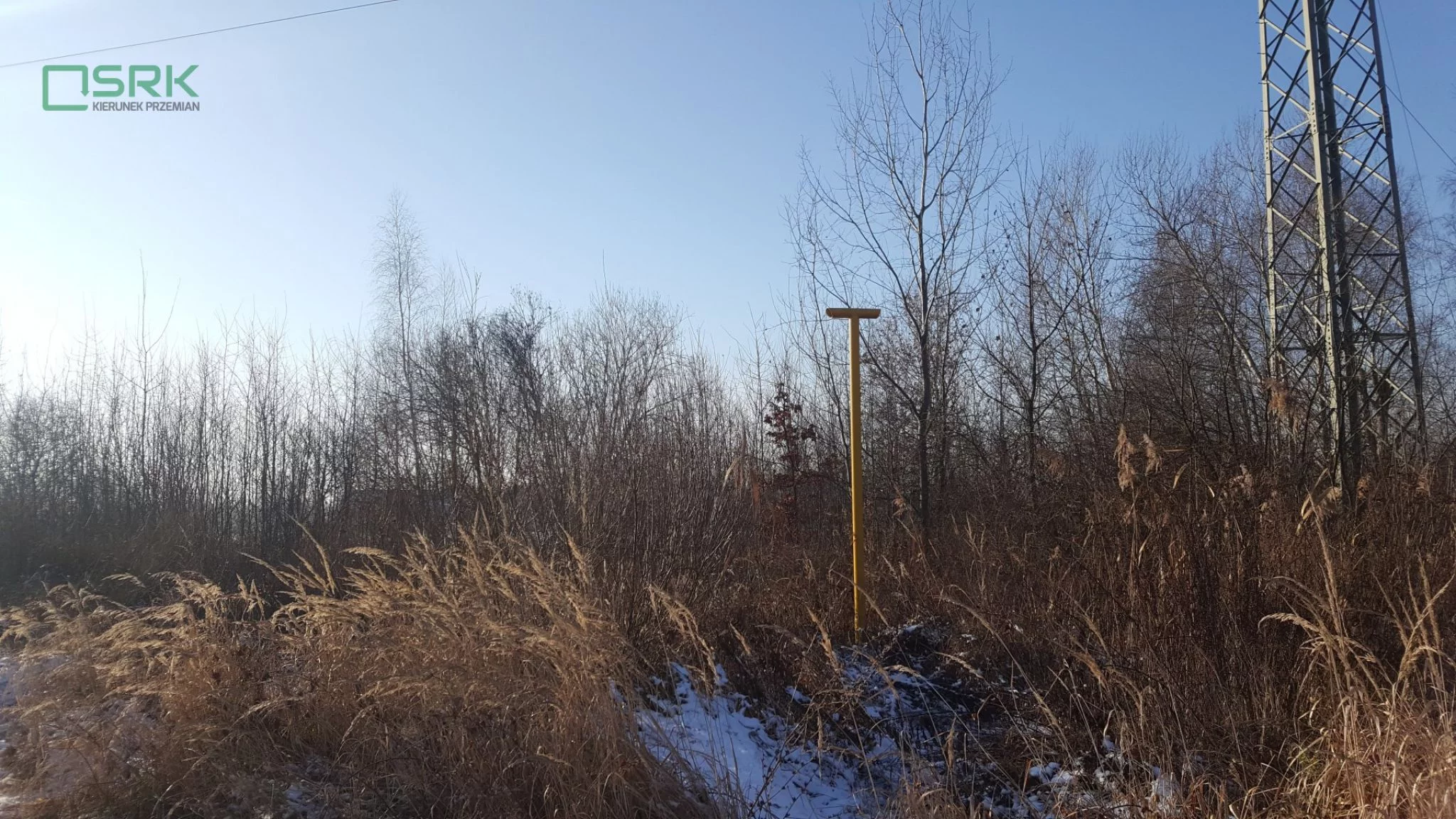4/1/01/2020 - zdjęcie nr 1