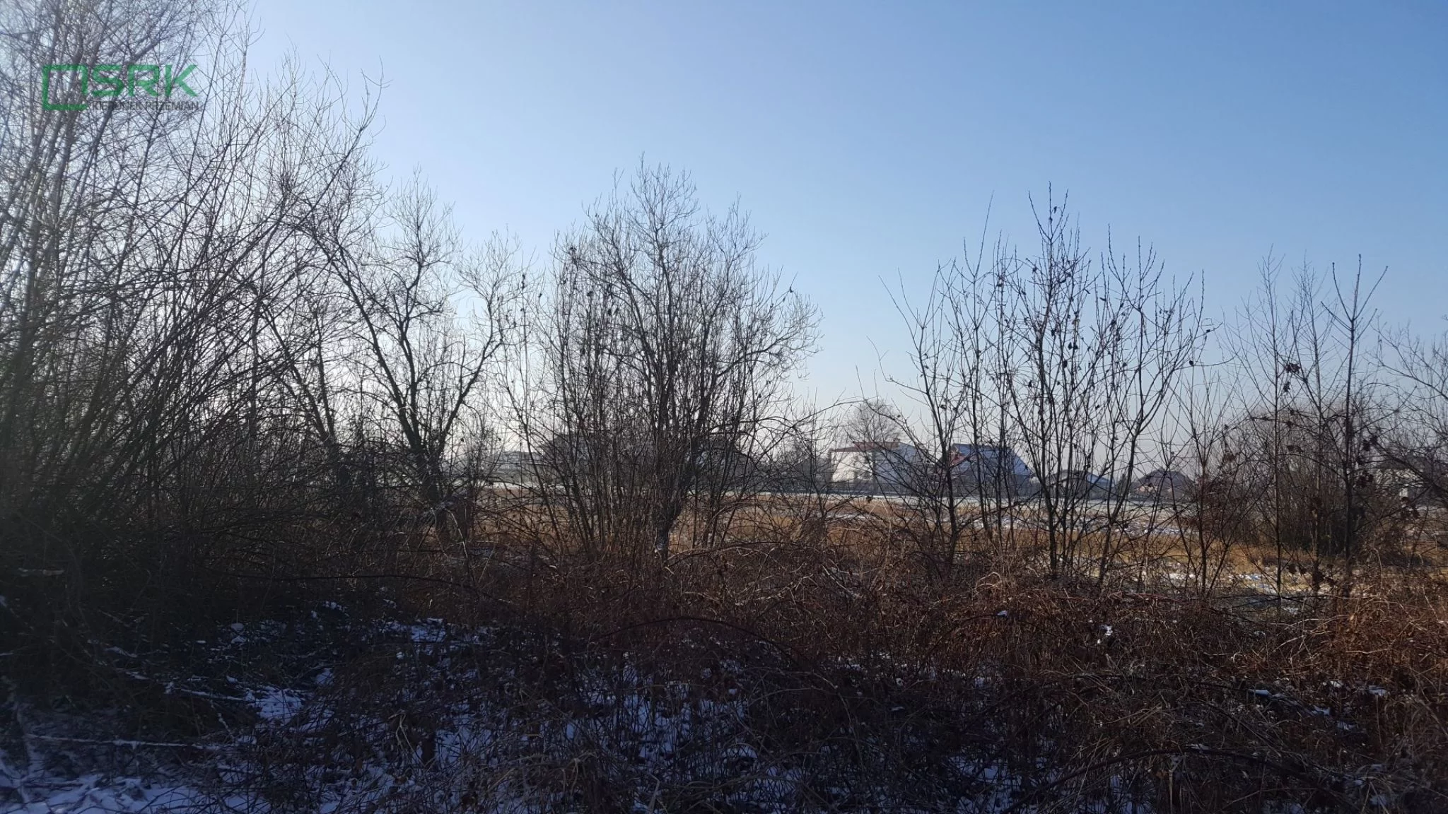 4/1/01/2020 - zdjęcie nr 3