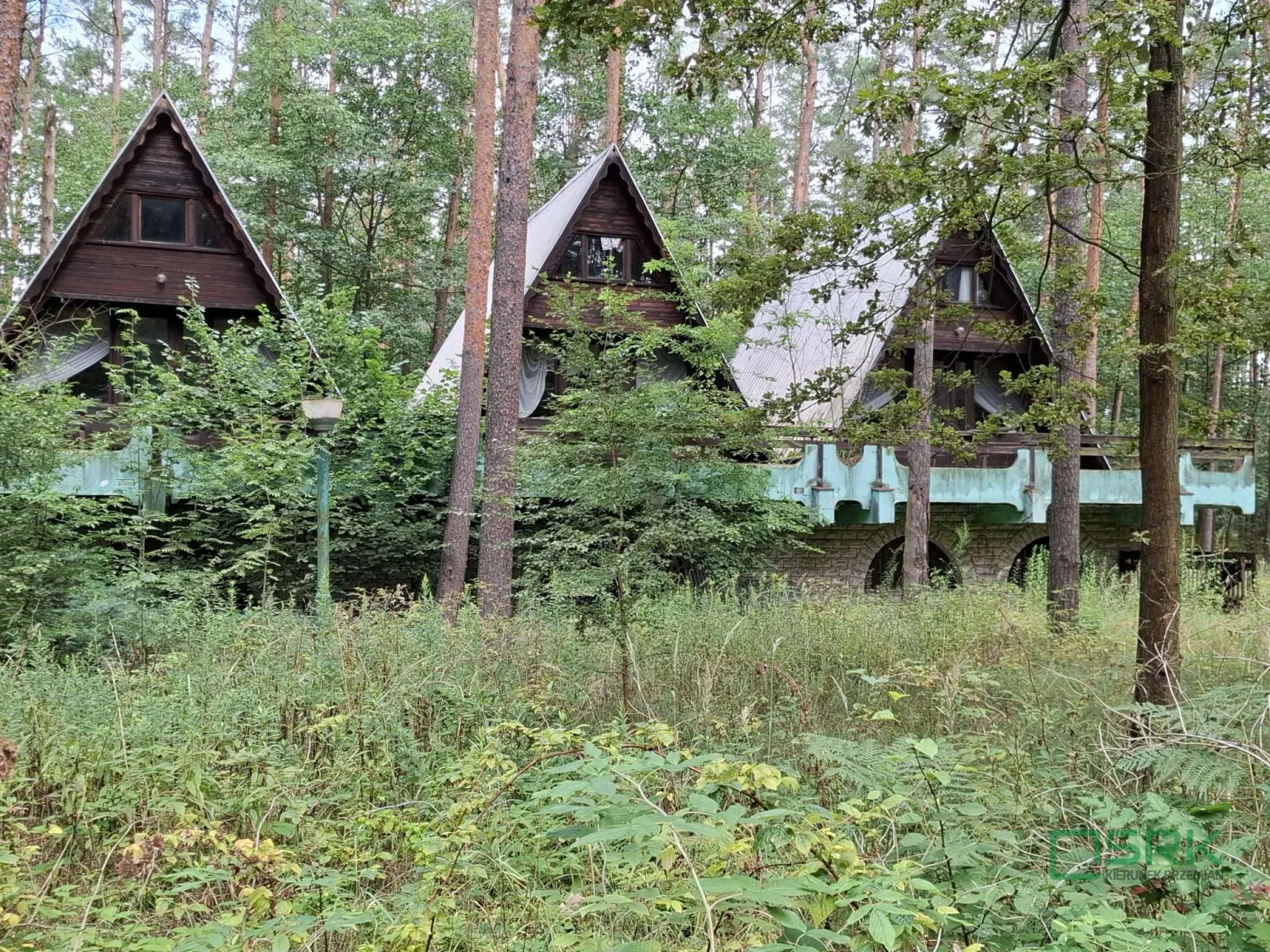 Działka 26 021,00 m², oferta nr , 230-134/2025, Krupski Młyn, Leśna