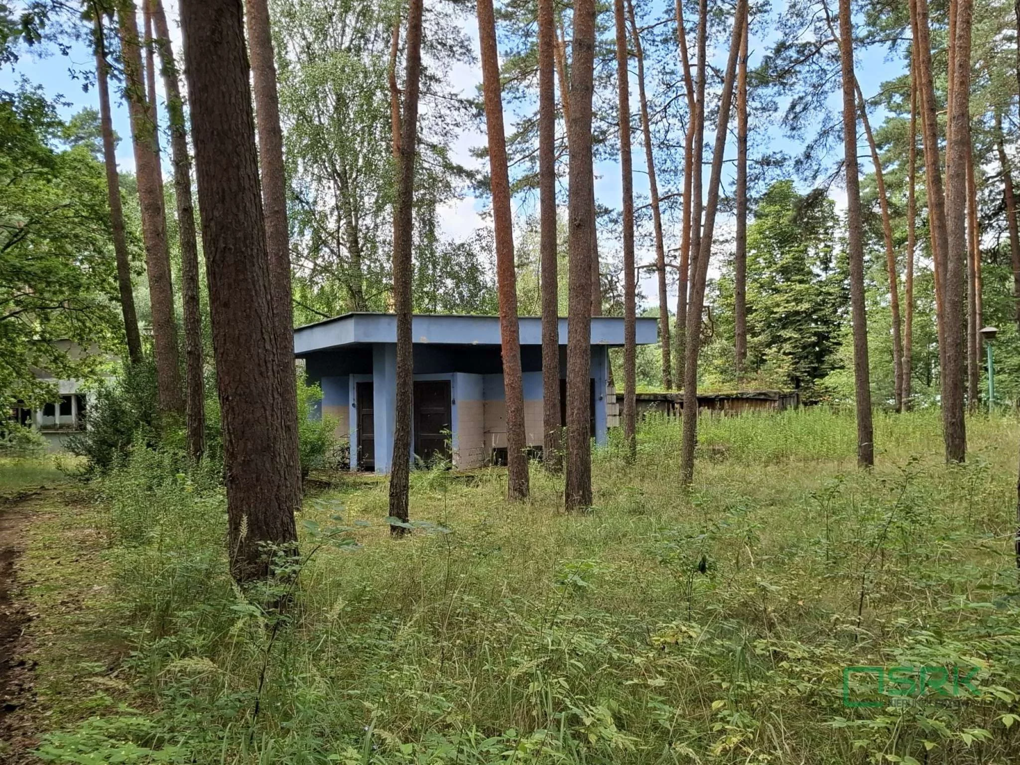 Działka 26 021,00 m², oferta nr , 230-134/2025, Krupski Młyn, Leśna