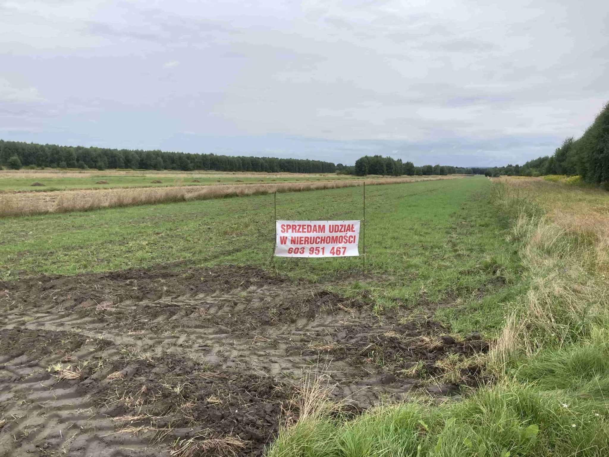 Działka 1 591,00 m², oferta nr , TTT-00000154, Łobodno