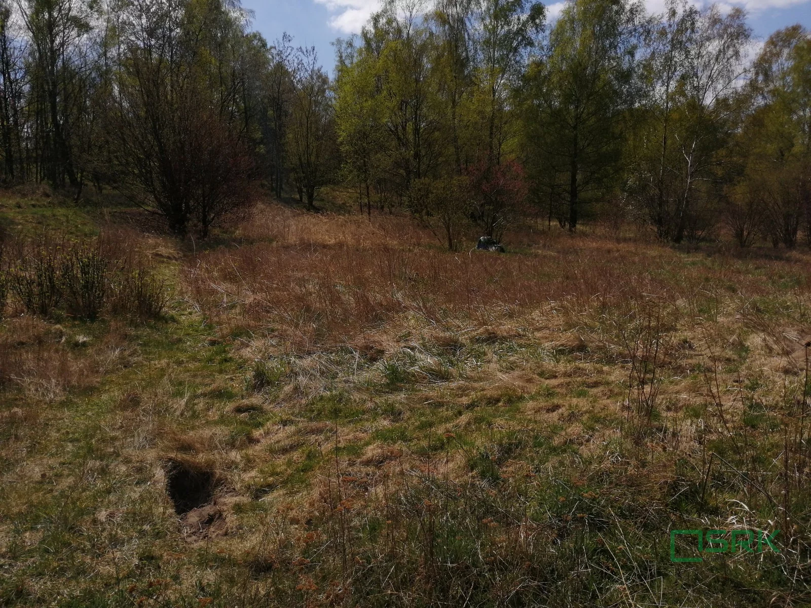 Działka 33 219,00 m², oferta nr , 4/3/05/2023, Rybnik, Ludwika Zamenhofa