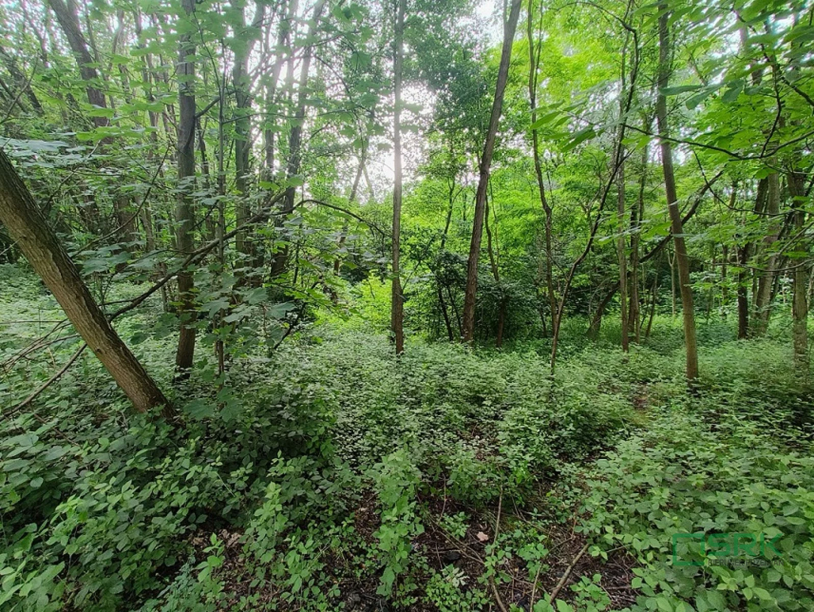 Działka 42 431,00 m², oferta nr , 4/1/07/2023, Pszów, Łukasiewicza