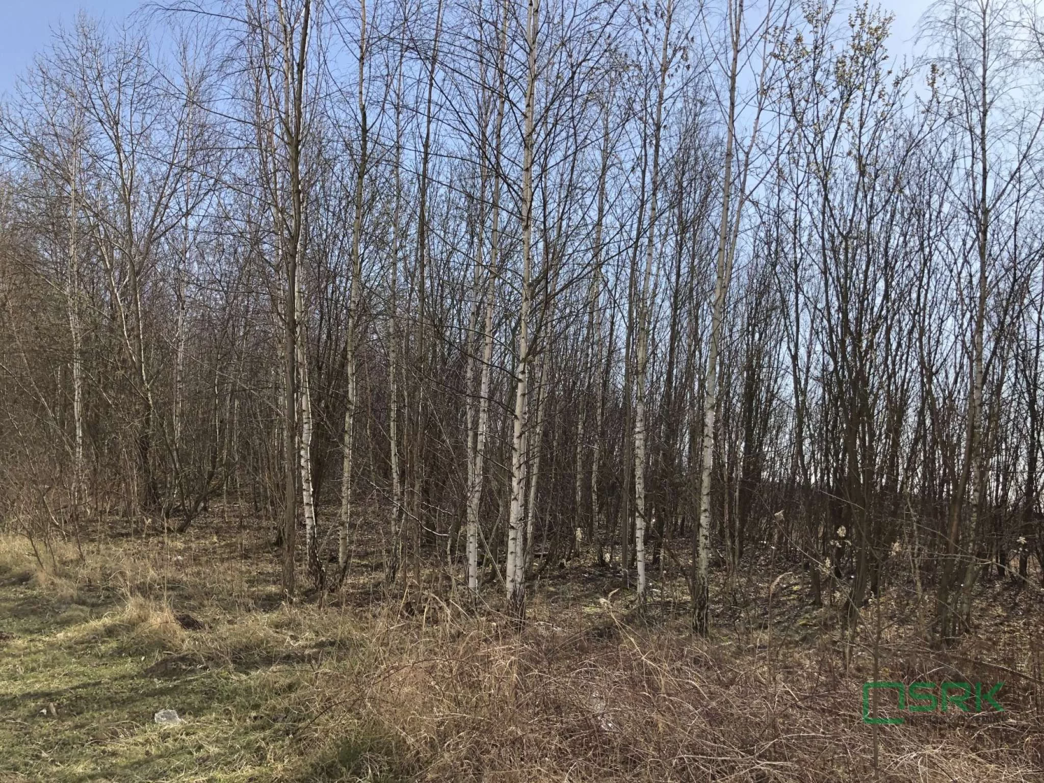 Działka 10 700,00 m², oferta nr , 4/83/01/2020, Bytom, Magdaleny
