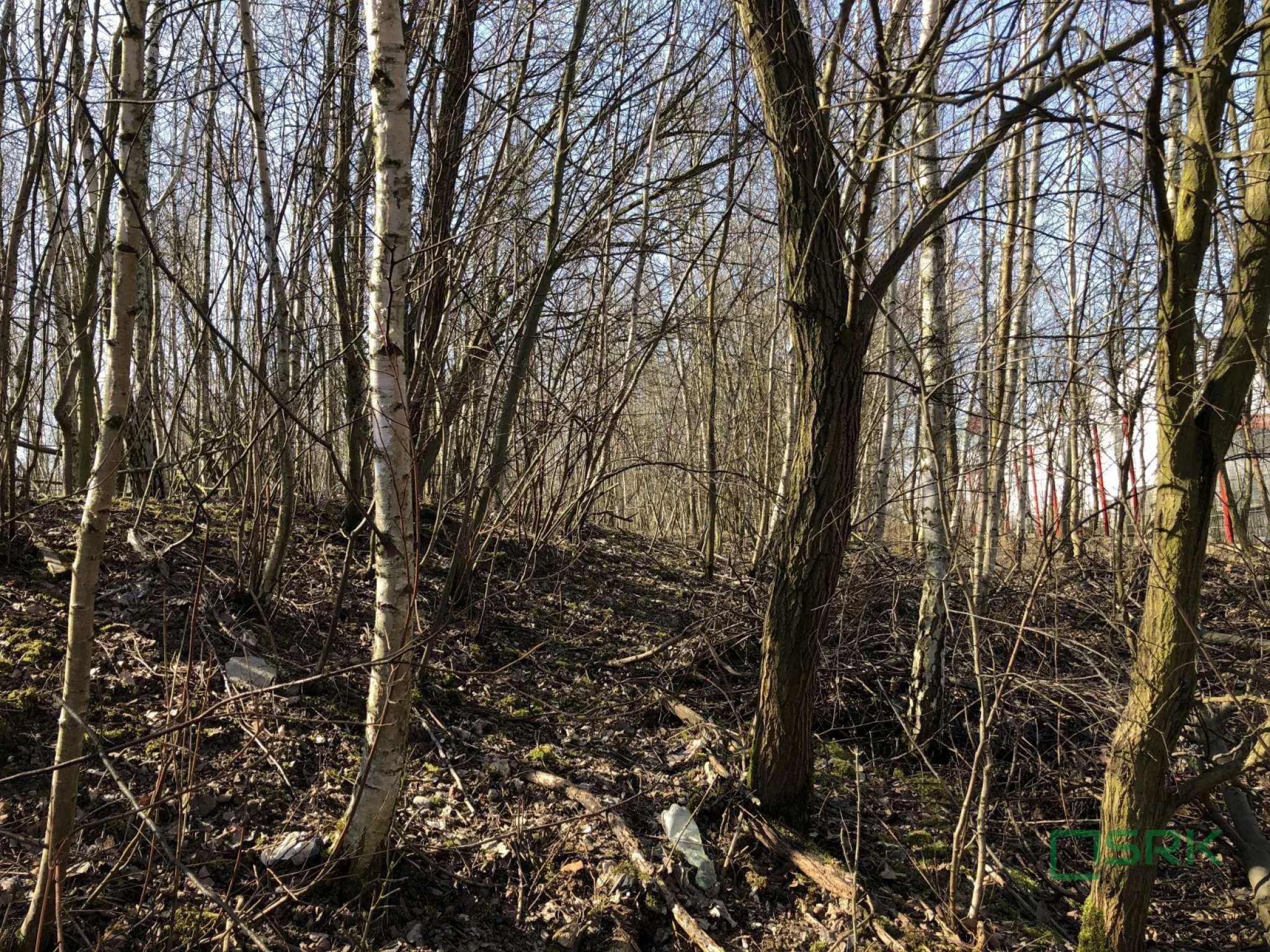 Działka 10 700,00 m², oferta nr , 4/83/01/2020, Bytom, Magdaleny