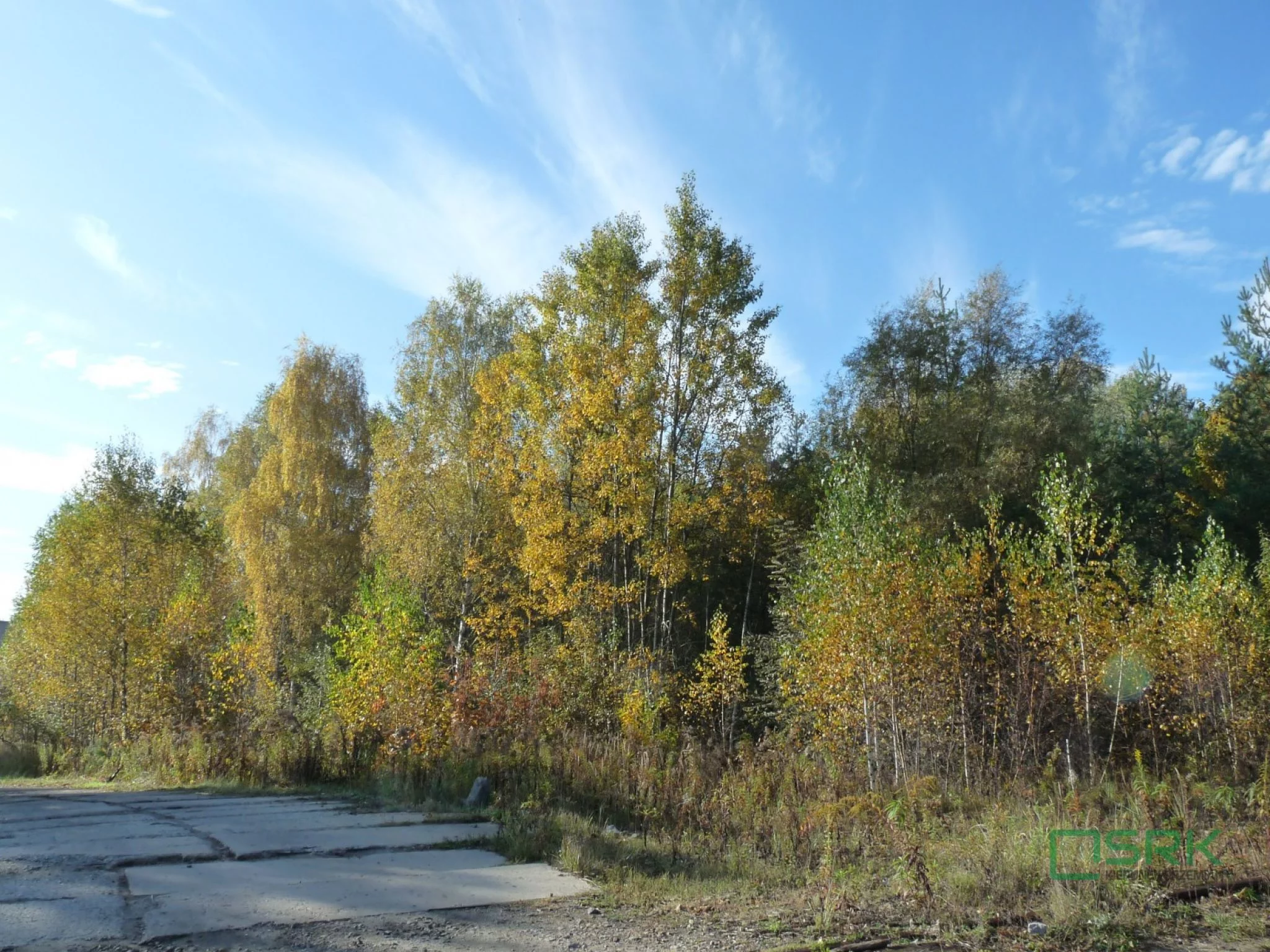 4/29/10/2019 - zdjęcie nr 3