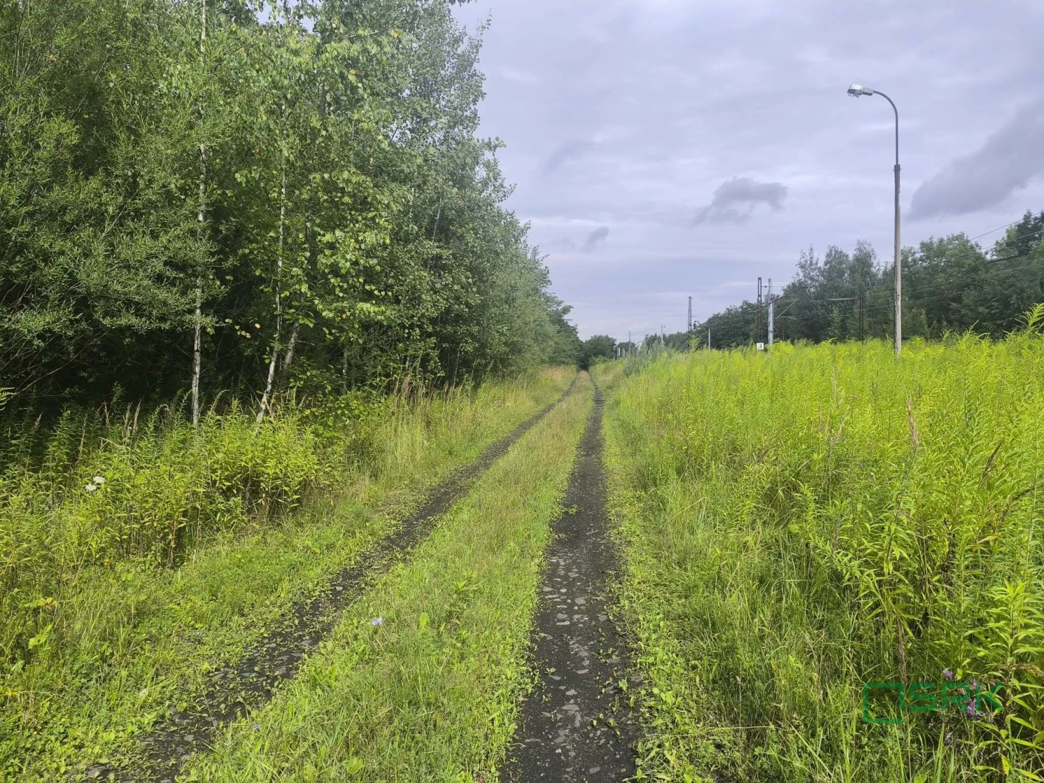 Działka 20 917,00 m², oferta nr , 4/6/08/2025, Mysłowice, Obrzeżna Północna