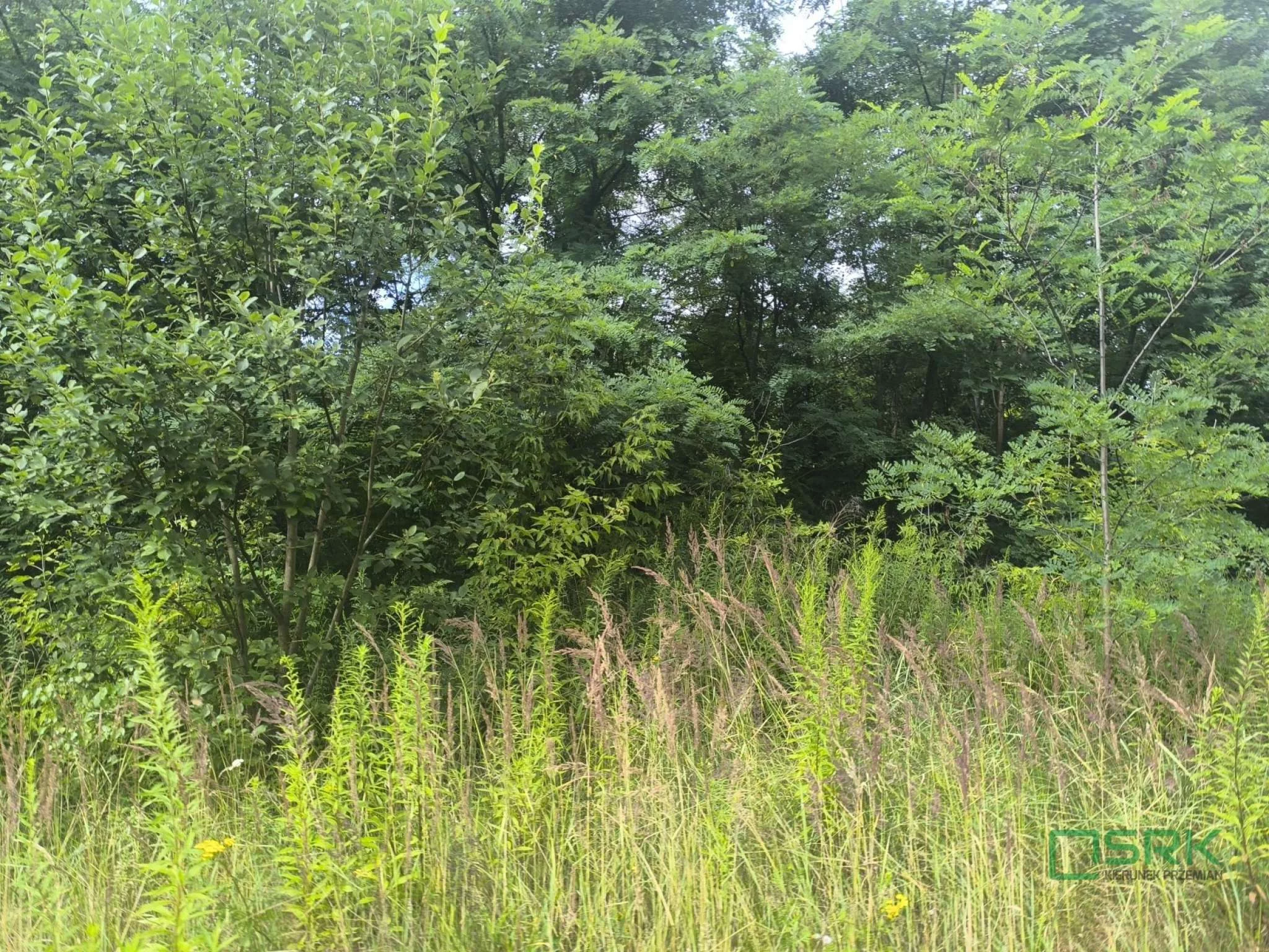 Działka 20 917,00 m², oferta nr , 4/6/08/2025, Mysłowice, Obrzeżna Północna