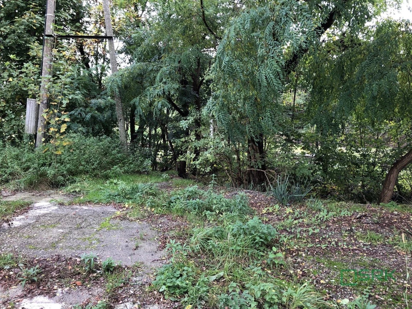 Działka 24 662,00 m², oferta nr , 4/6/10/2023, Jankowice, Piaskowa