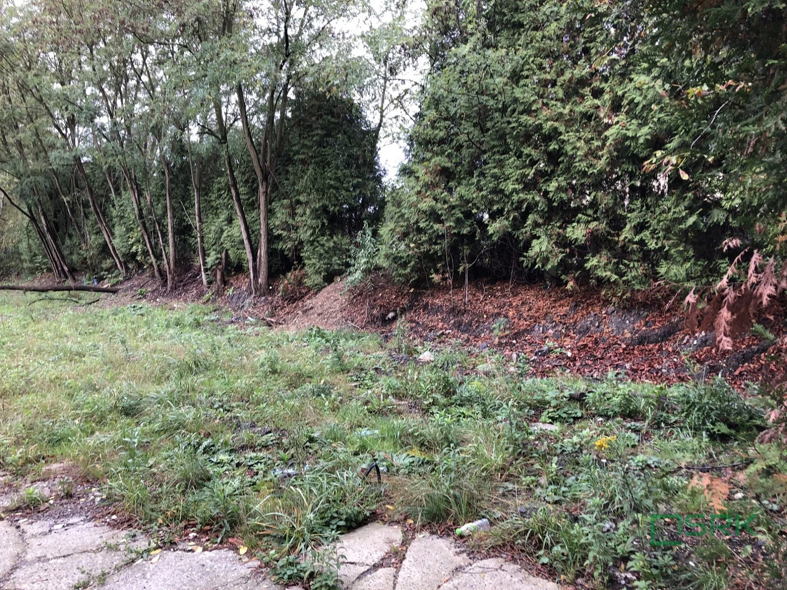 Działka 24 662,00 m², oferta nr , 4/6/10/2023, Jankowice, Piaskowa