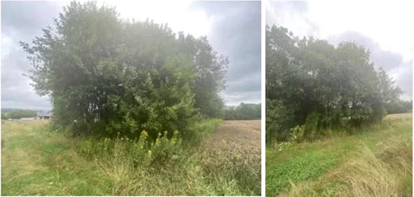 Działka 1 507,00 m², oferta nr , TTT-0001072, Poręby