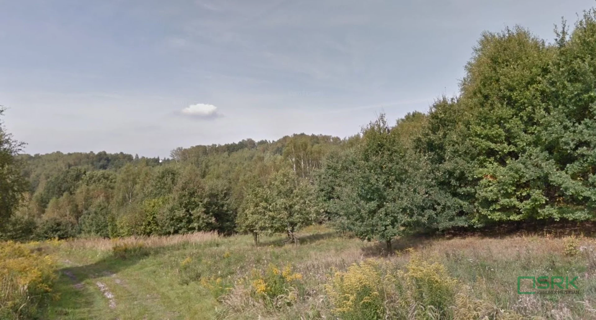 Działka 189 659,00 m², oferta nr , 4/46/08/2023, Jankowice, rejon ul. Rybnickiej i Podkościele