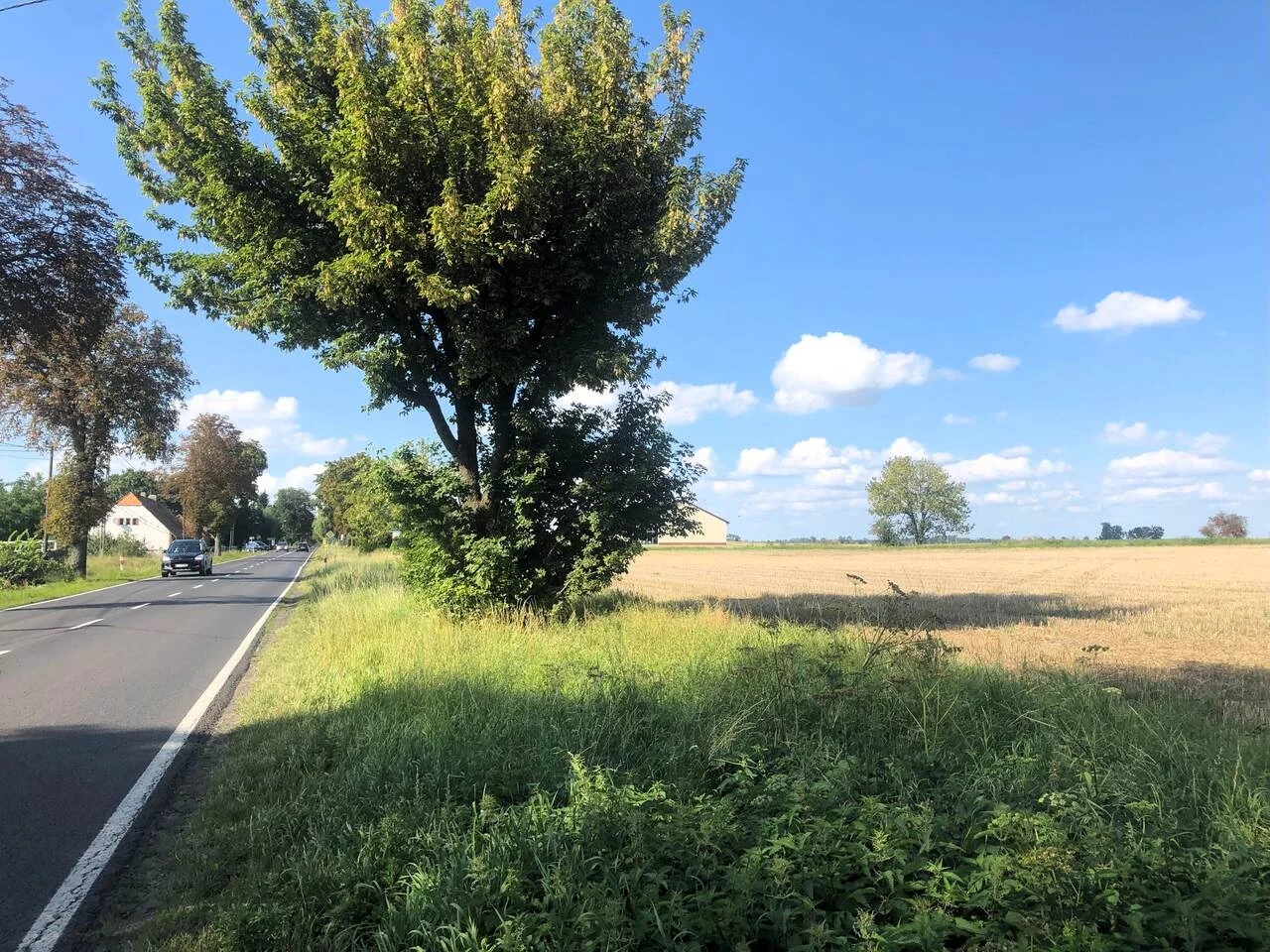 Apartamenty TTT-000001038 Sędzinko