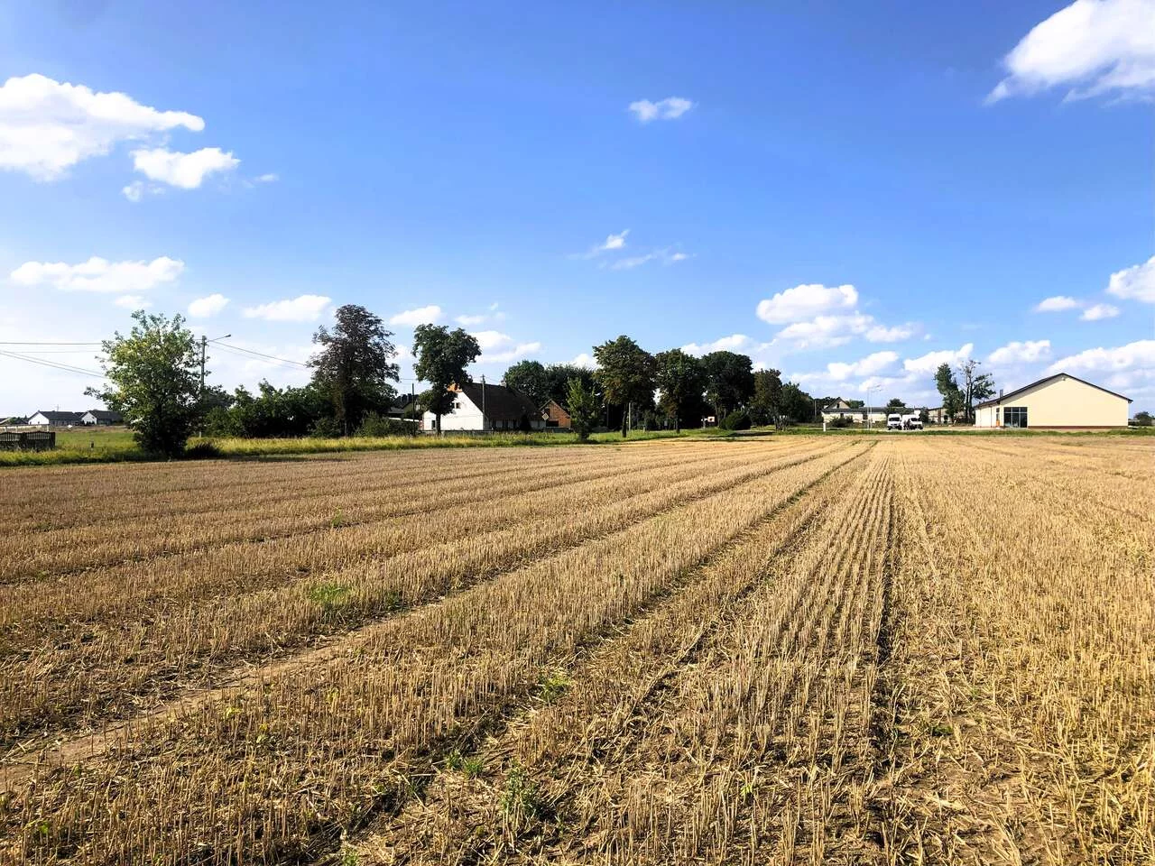 Działka 7 244,00 m², oferta nr , TTT-000001038, Sędzinko