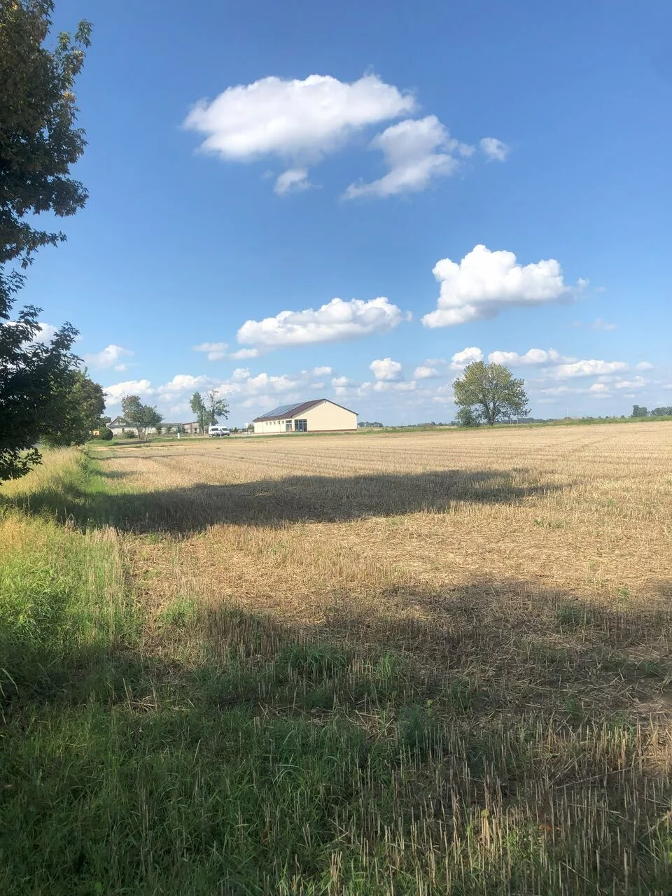 Działka 7 244,00 m², oferta nr , TTT-000001038, Sędzinko