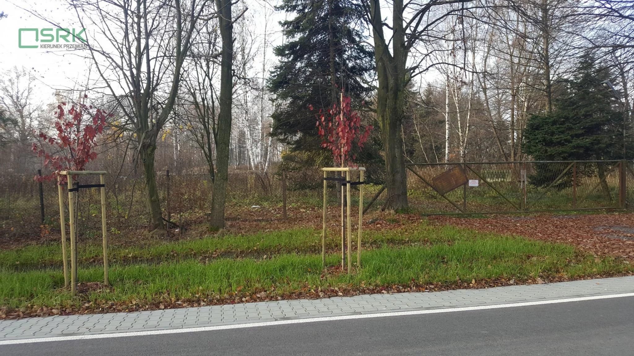 Działka 10 431,00 m², oferta nr , 4/67/12/2019, Brzeszcze, Siedliska
