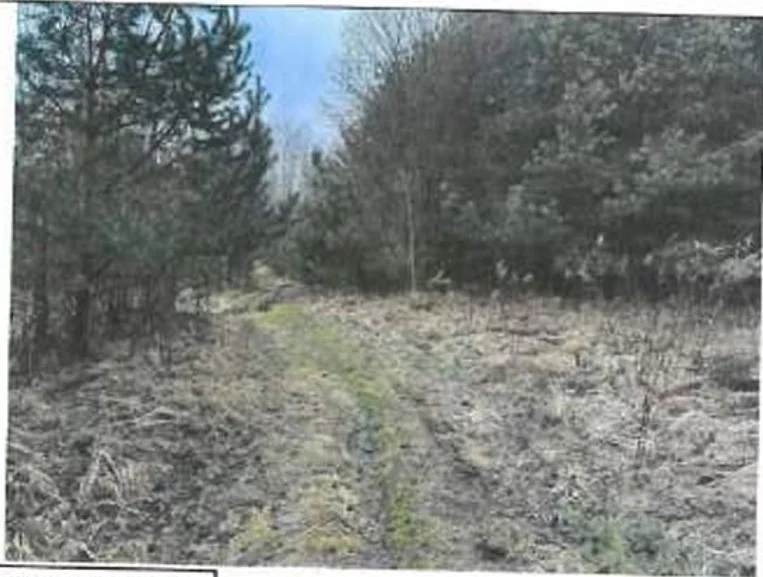Działka 5 894,00 m², oferta nr , TTT-00000775, Srocko