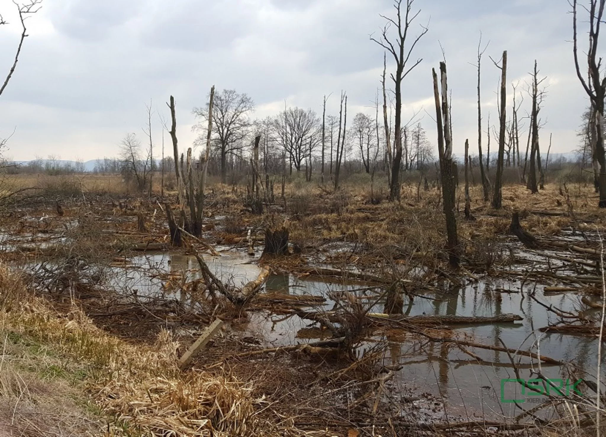 Działka 78 360,00 m², oferta nr , 4/2/09/2022, Goczałkowice-Zdrój, Stawowa