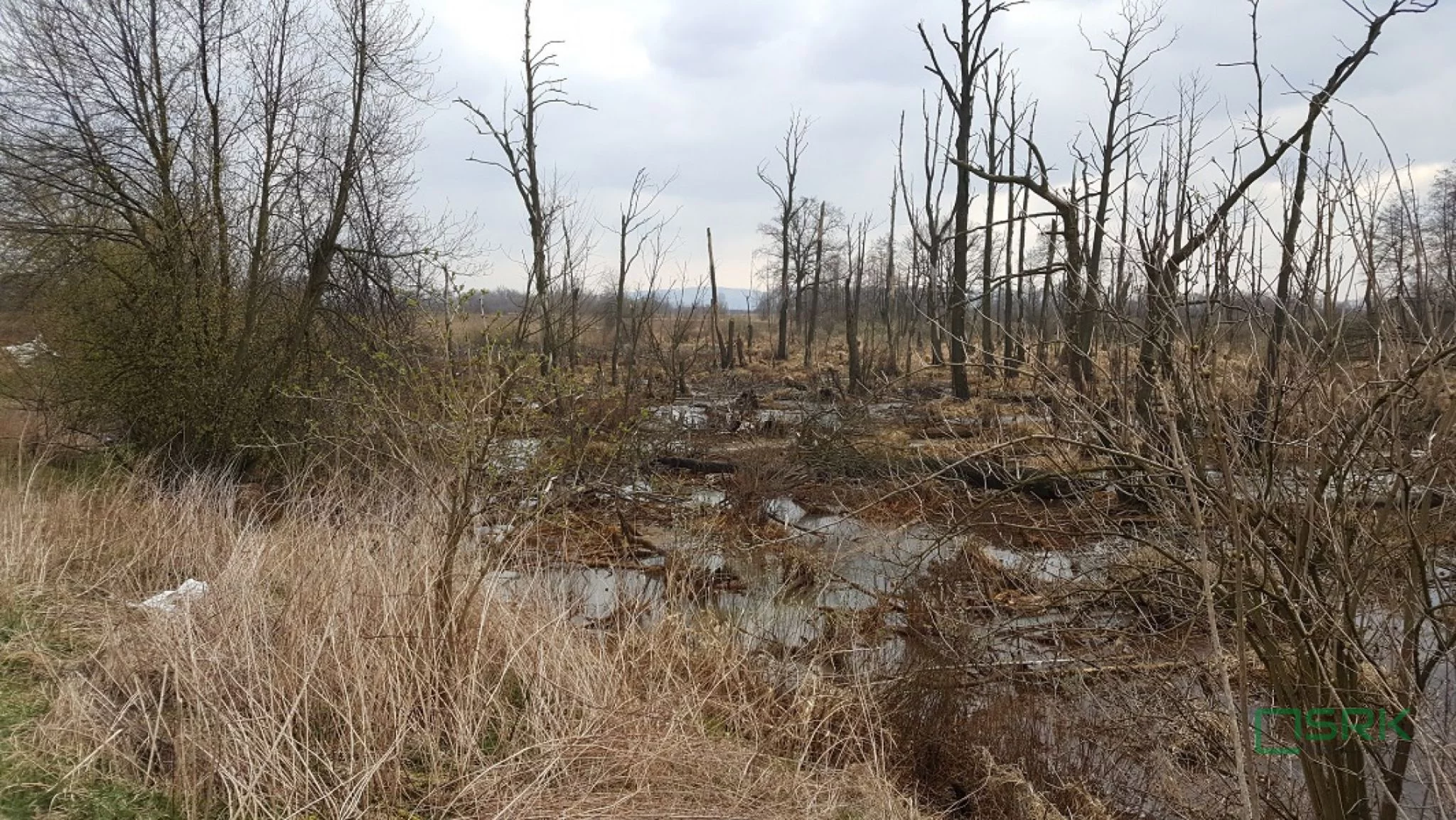 Działka 78 360,00 m², oferta nr , 4/2/09/2022, Goczałkowice-Zdrój, Stawowa