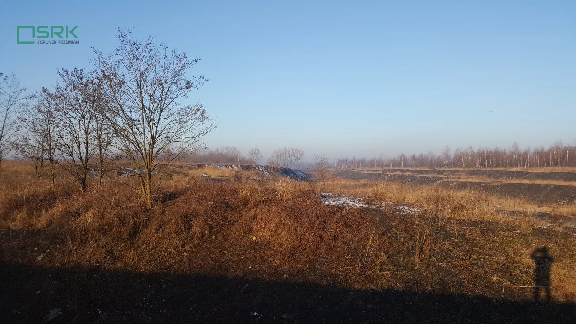 2/13/01/2020 - zdjęcie nr 2
