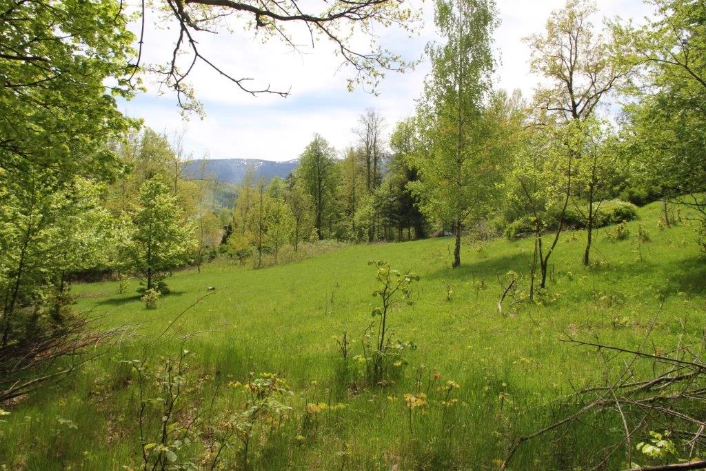 Apartamenty TTT-00000928 Szklarska Poręba