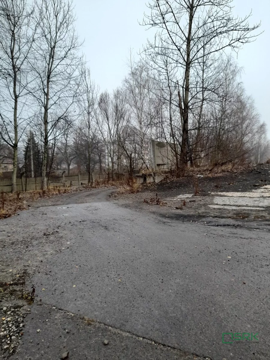 4/3/09/2024 - zdjęcie nr 4