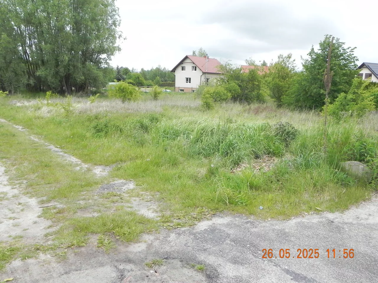 TTT-0000973 - zdjęcie nr 0