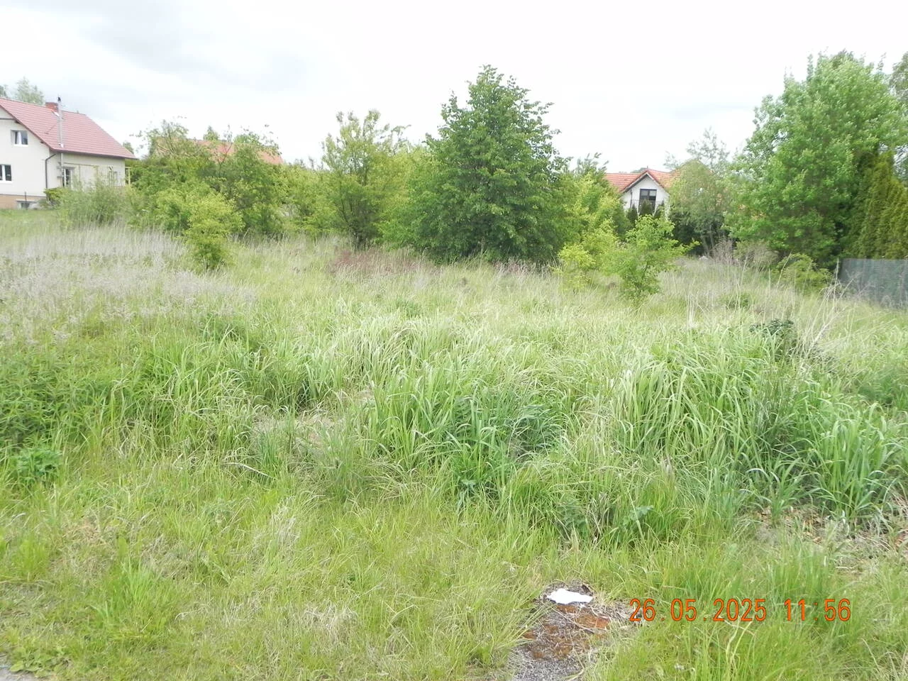 TTT-0000973 - zdjęcie nr 1