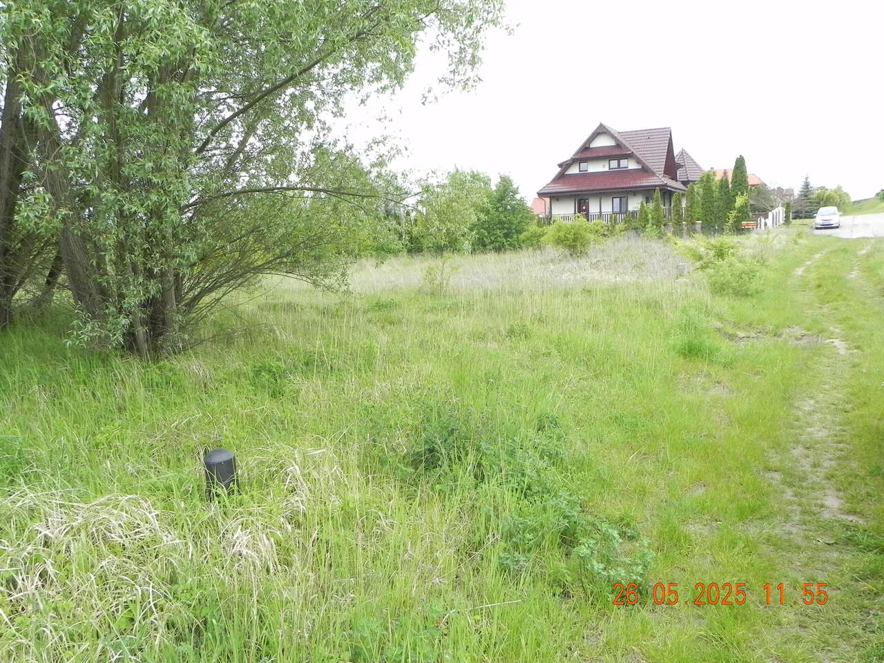 TTT-0000973 - zdjęcie nr 3