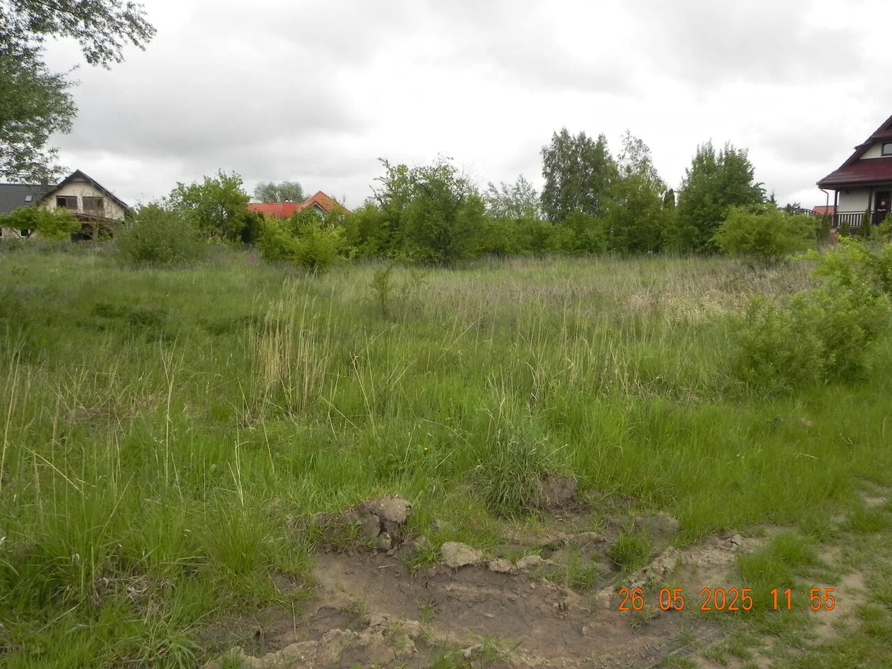TTT-0000973 - zdjęcie nr 4