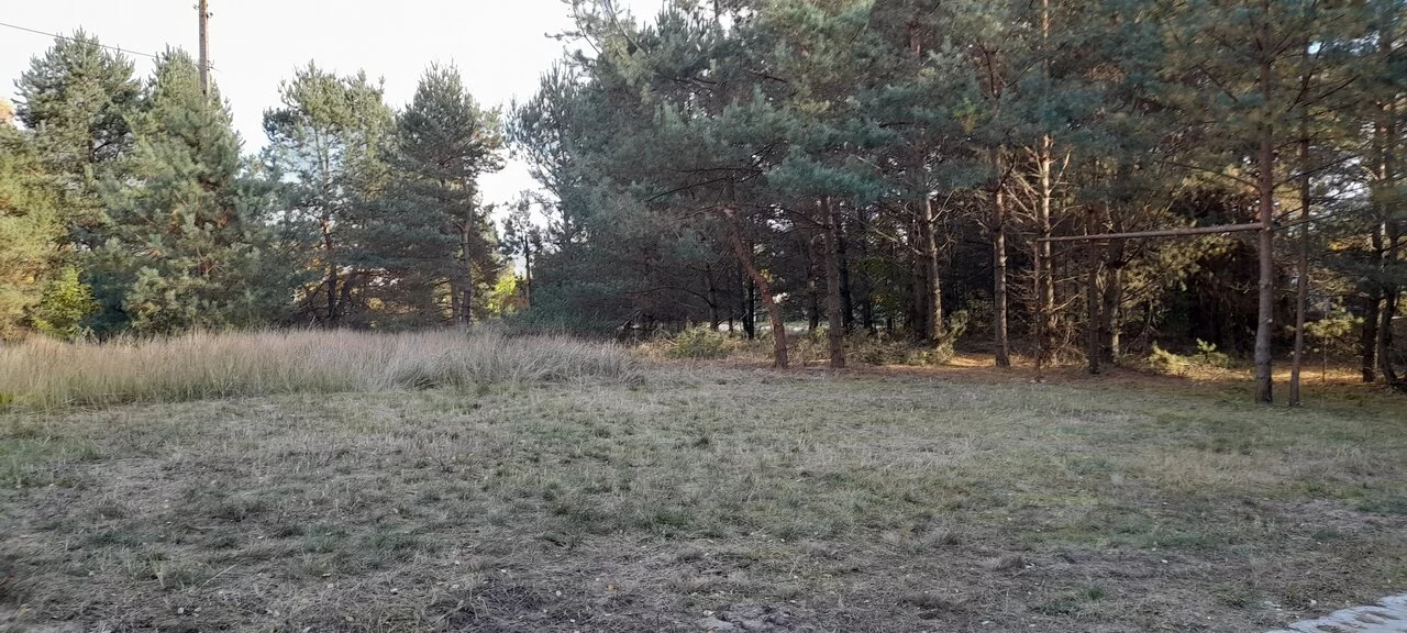 TTT-00000975 - zdjęcie nr 2