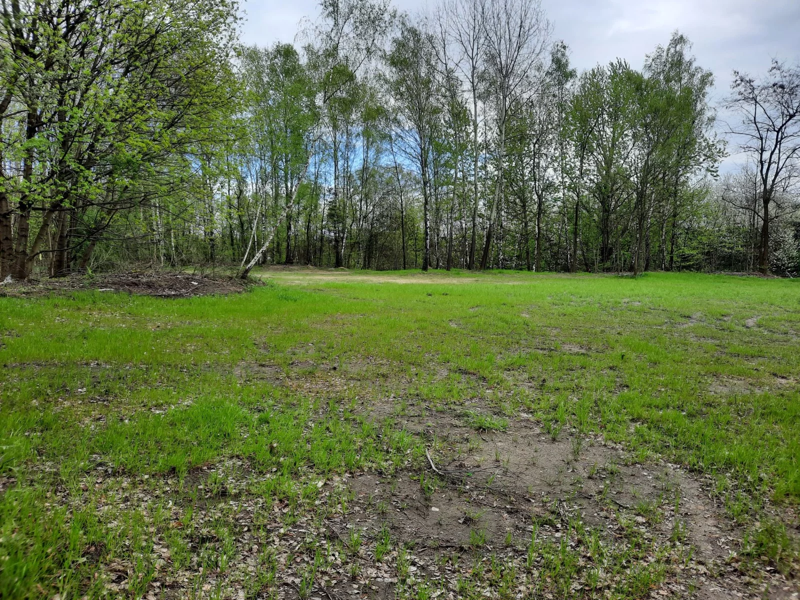 Działka 68 654,00 m², oferta nr , 2/1/04/2024, Jastrzębie-Zdrój, Szybowa