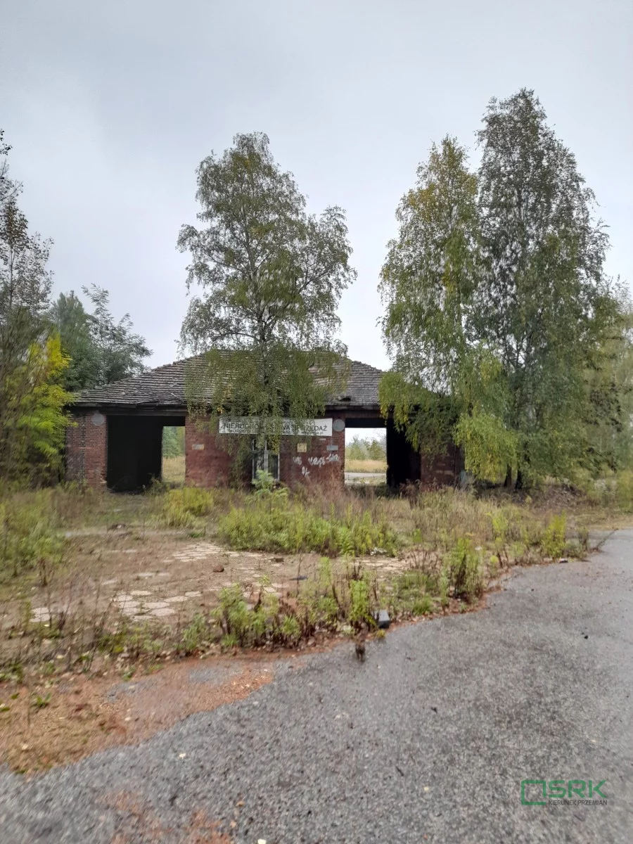 230-68/2025 - zdjęcie nr 2