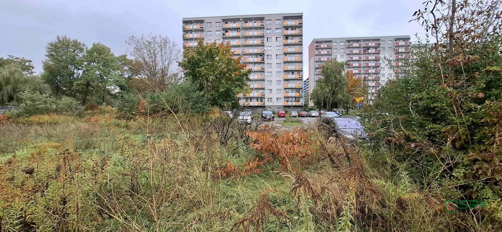 4/1/10/2025 - zdjęcie nr 3