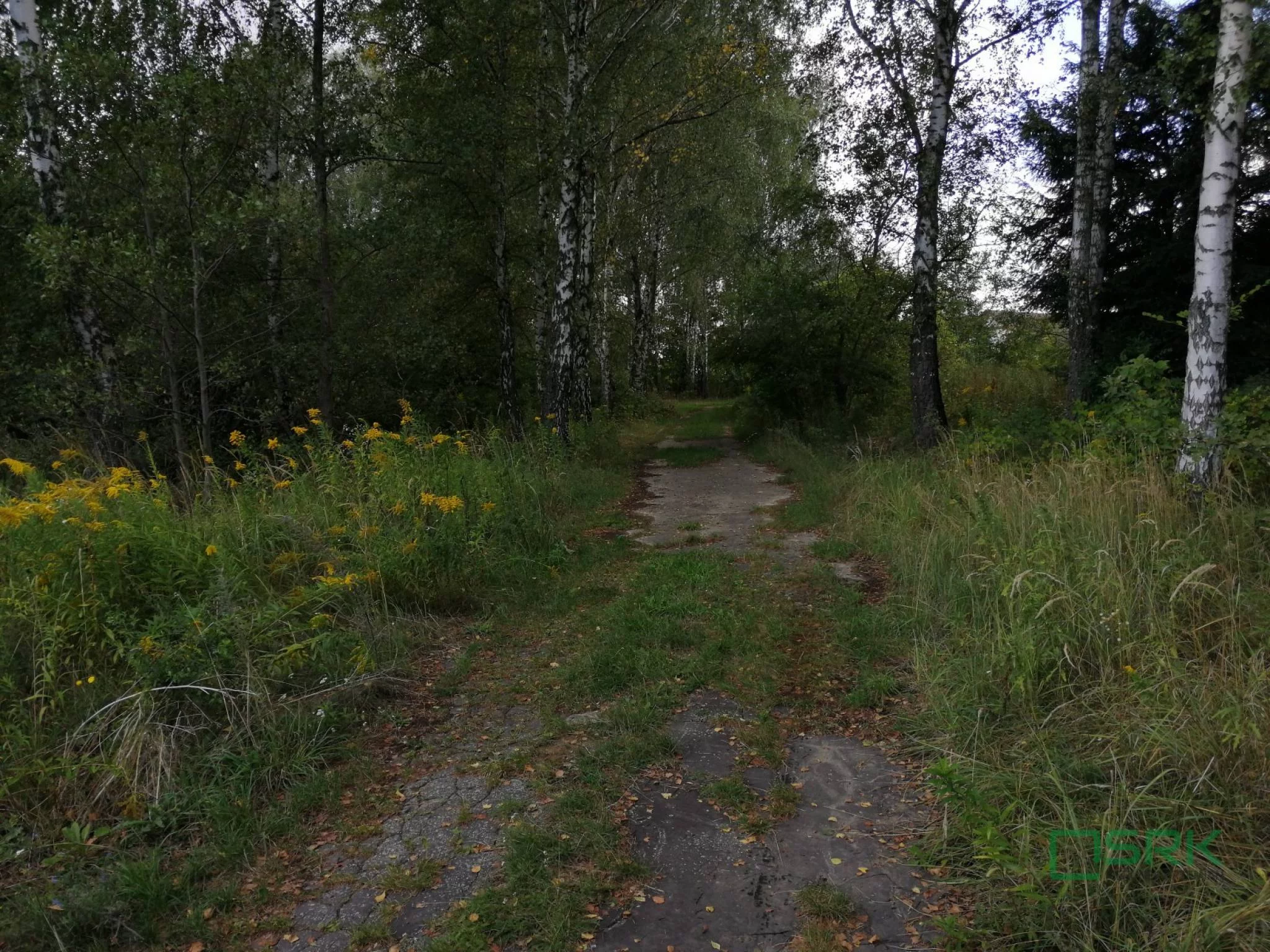 Działka 20 203,00 m², oferta nr , 2/5/10/2019, Mszana, Wodzisławska