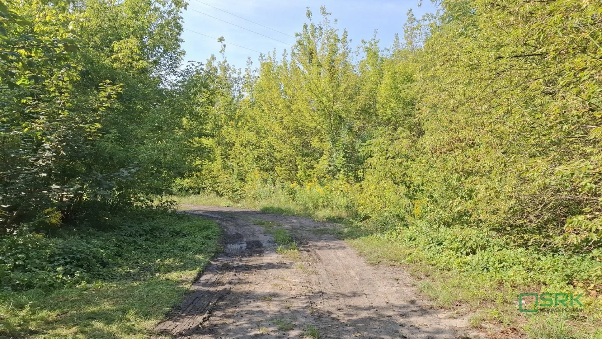 230-120/2024 - zdjęcie nr 4