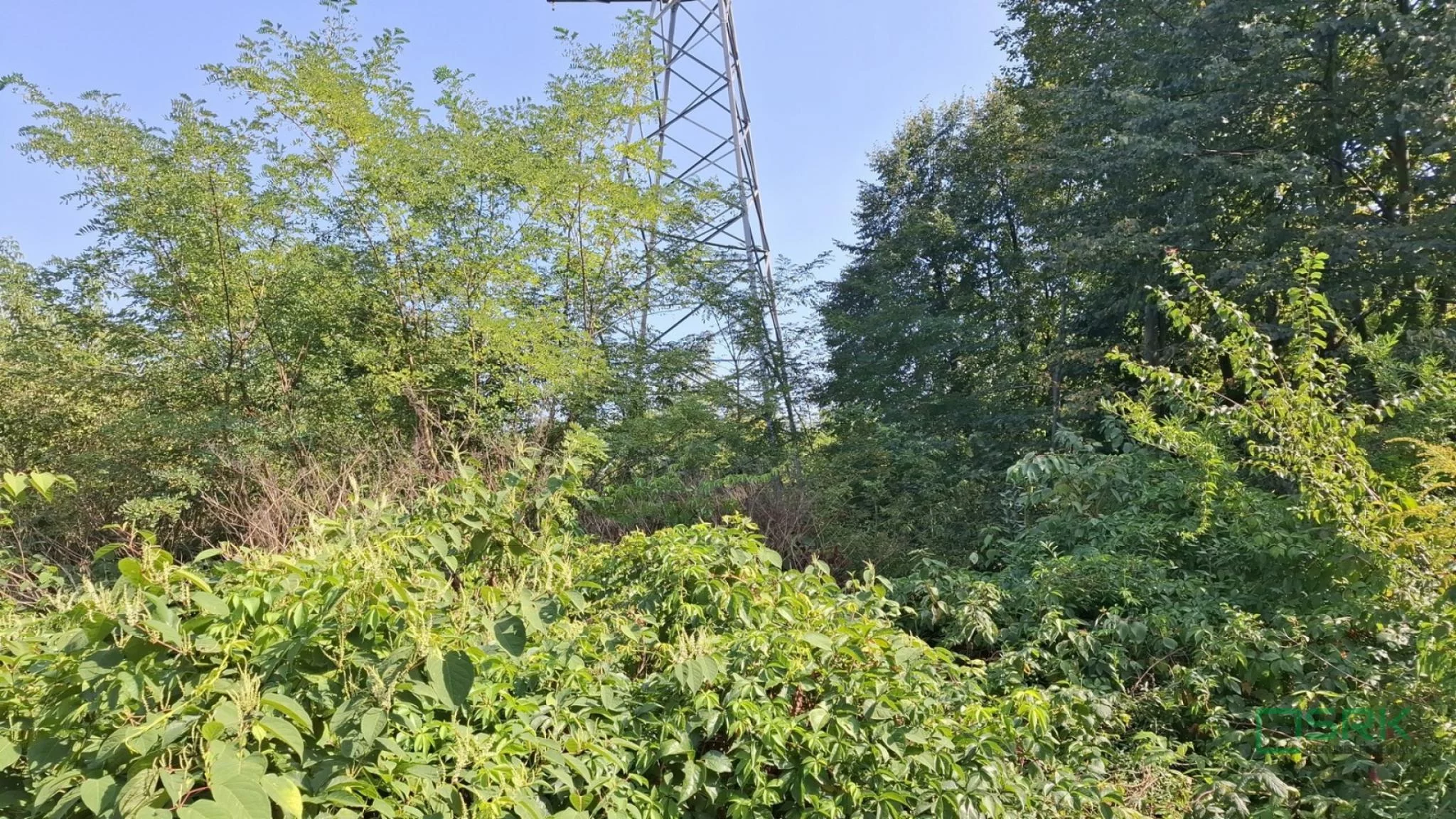 Działka 23 764,00 m², oferta nr , 230-120/2024, Sosnowiec, Wojska Polskiego