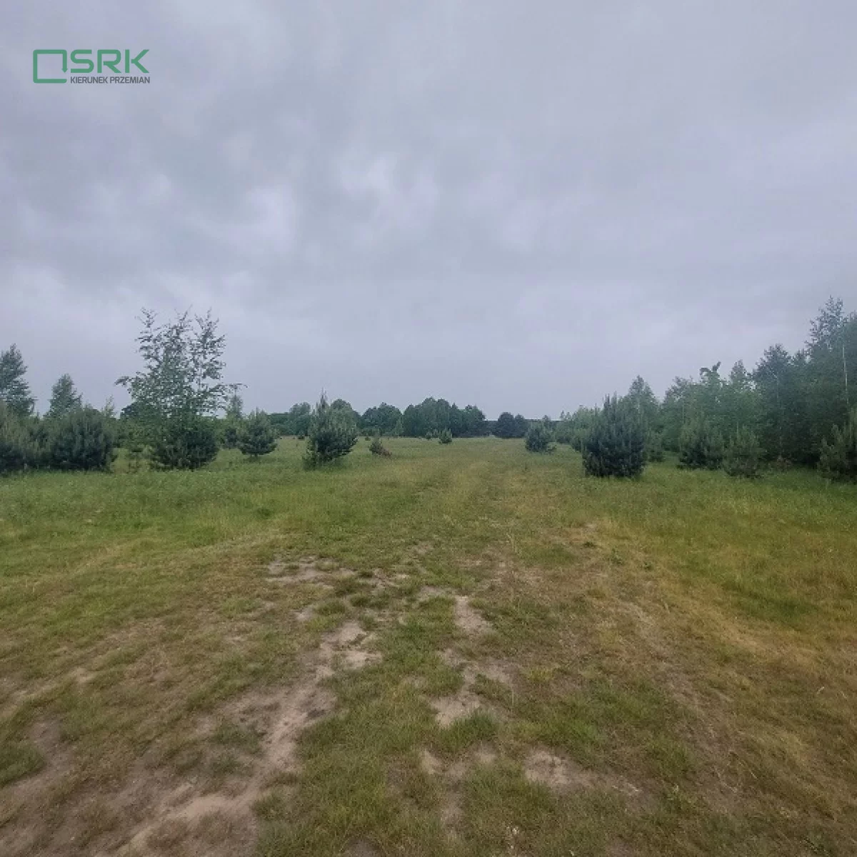 230-70/2024 - zdjęcie nr 2
