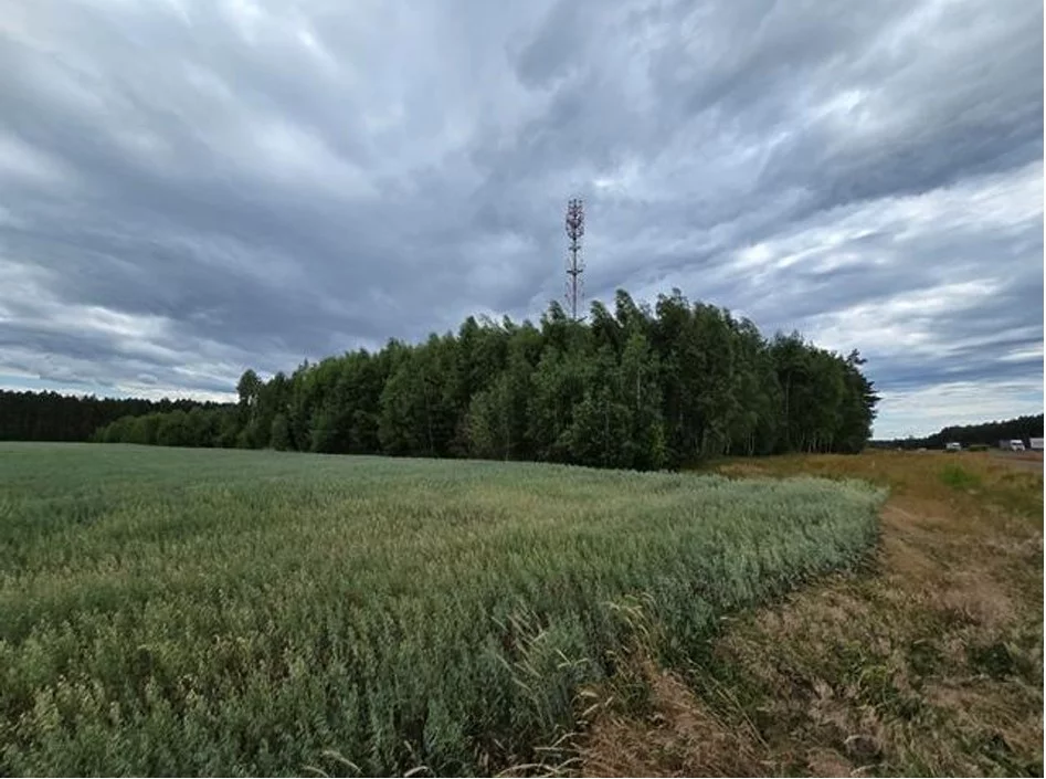 Apartamenty TTT-00000988 Zagaje