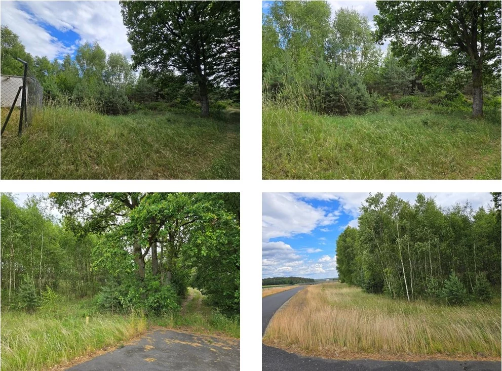 Działka 29 812,00 m², oferta nr , TTT-00000988, Zagaje