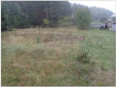 Apartamenty TTT-00000950 Zagórze