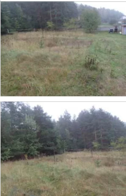 TTT-00000950 - zdjęcie nr 2