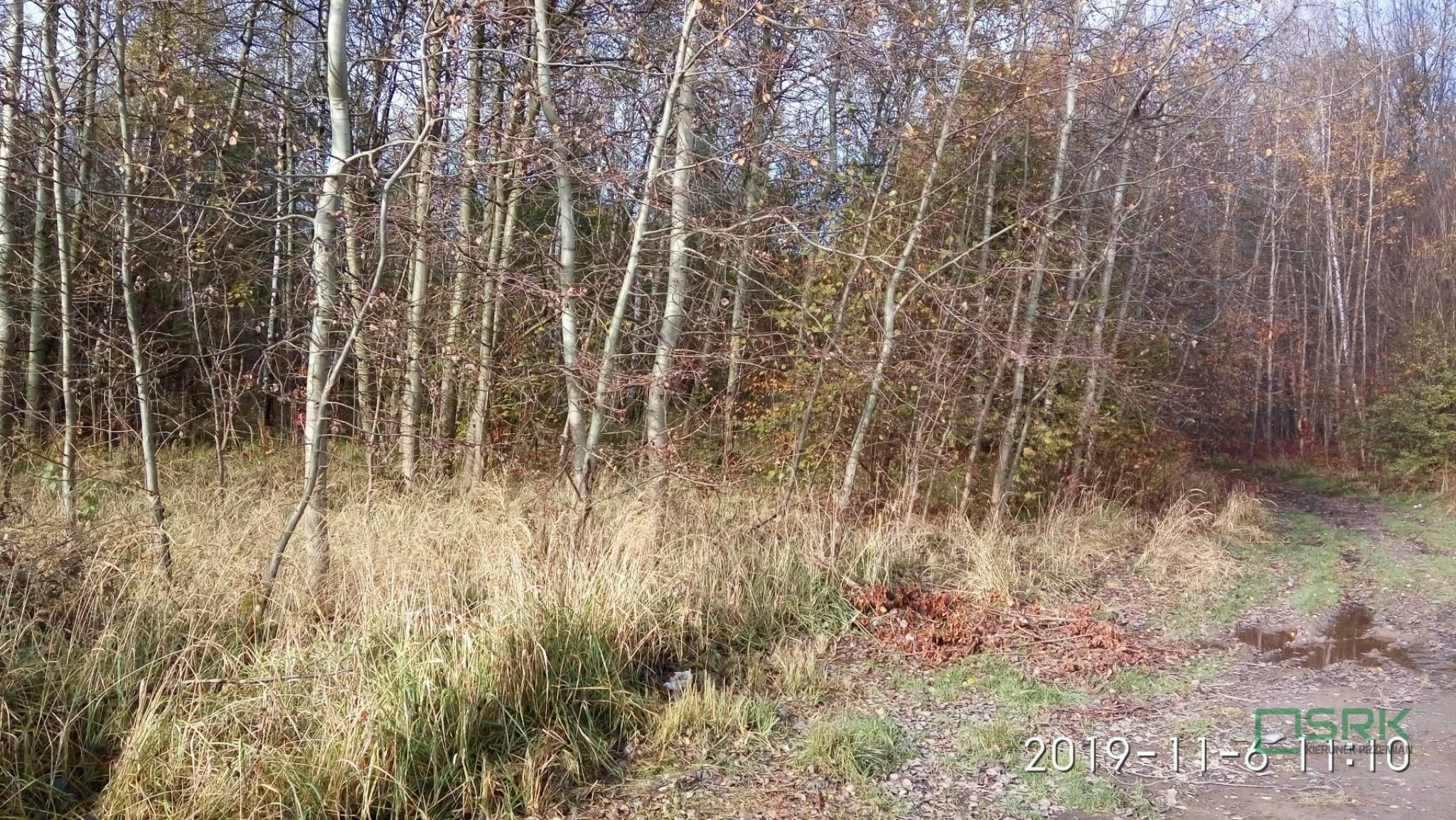 4/10/11/2019 - zdjęcie nr 3