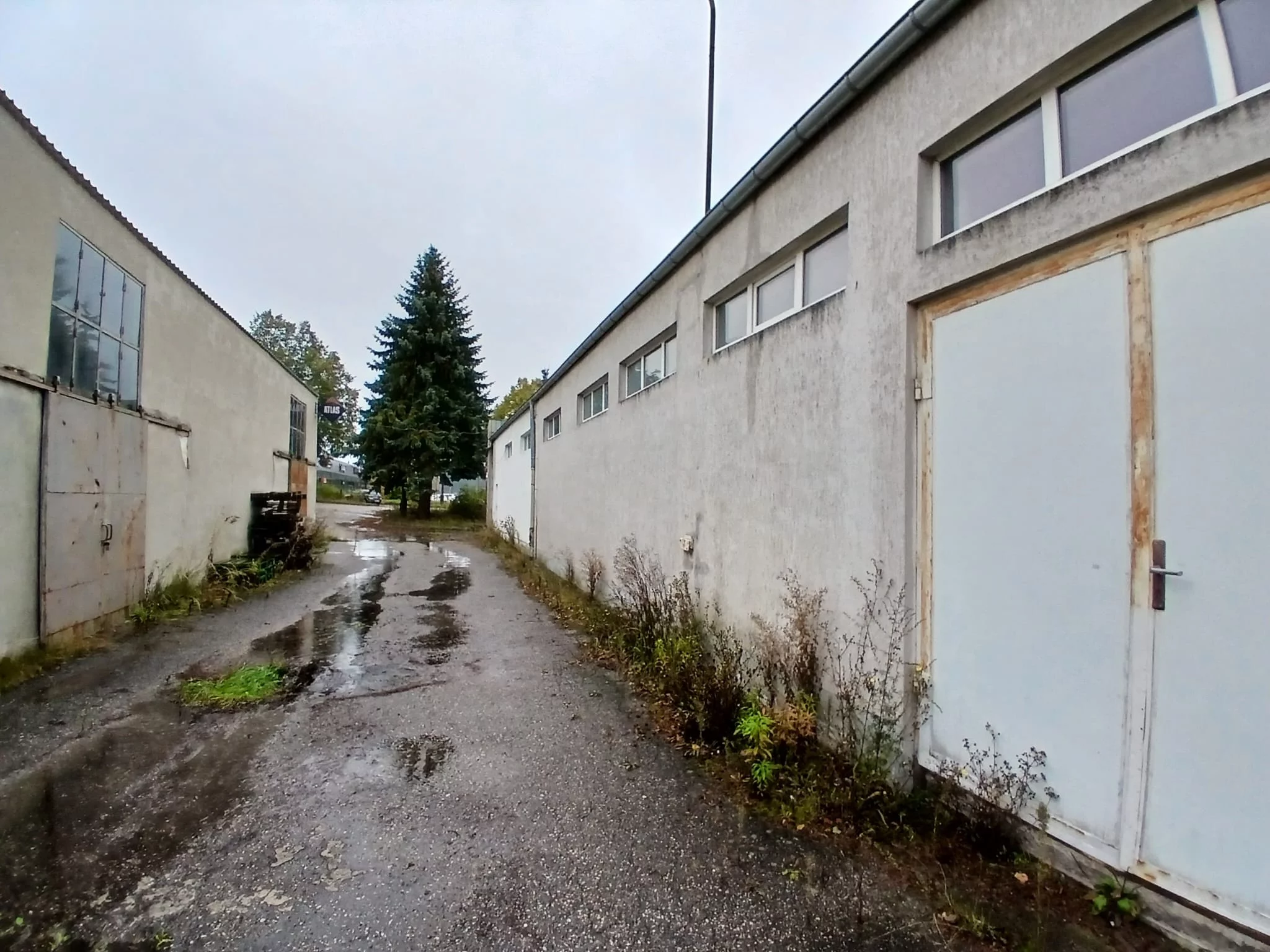 Obiekt 10 564,00 m², oferta nr , TTT-000001079, Trzcianka
