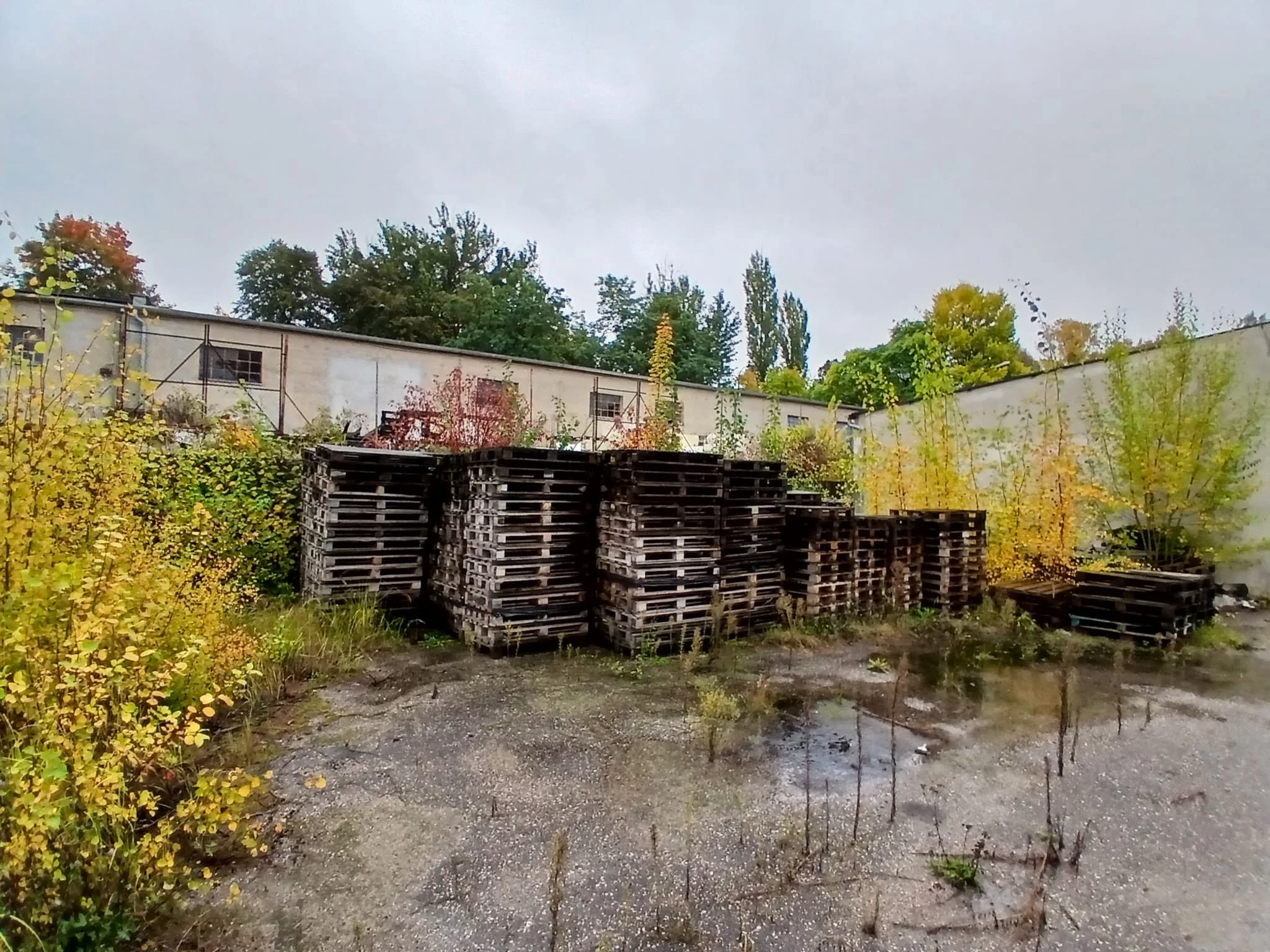 Obiekt 10 564,00 m², oferta nr , TTT-000001079, Trzcianka