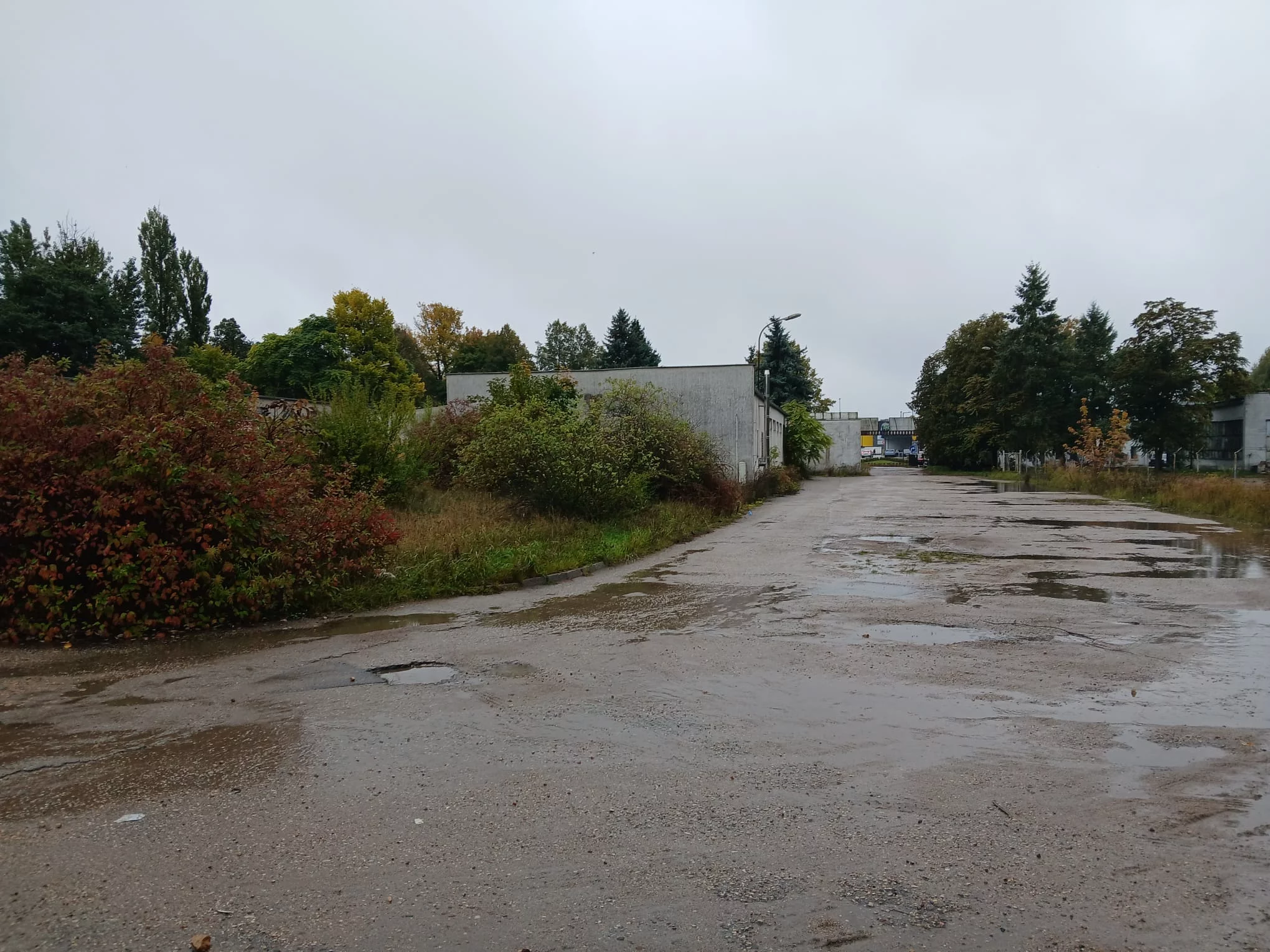 Obiekt 10 564,00 m², oferta nr , TTT-000001079, Trzcianka