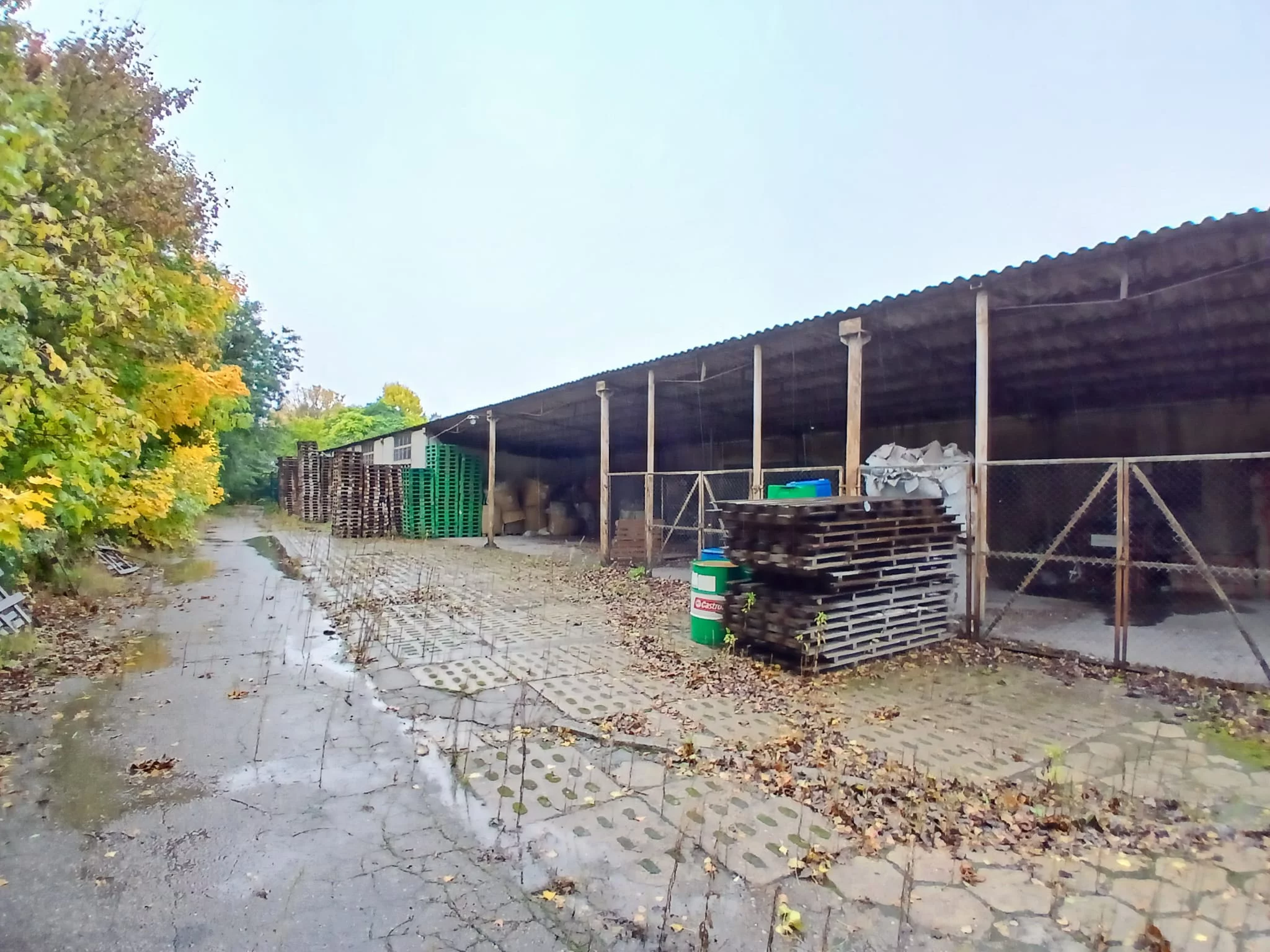 Obiekt 10 564,00 m², oferta nr , TTT-000001079, Trzcianka