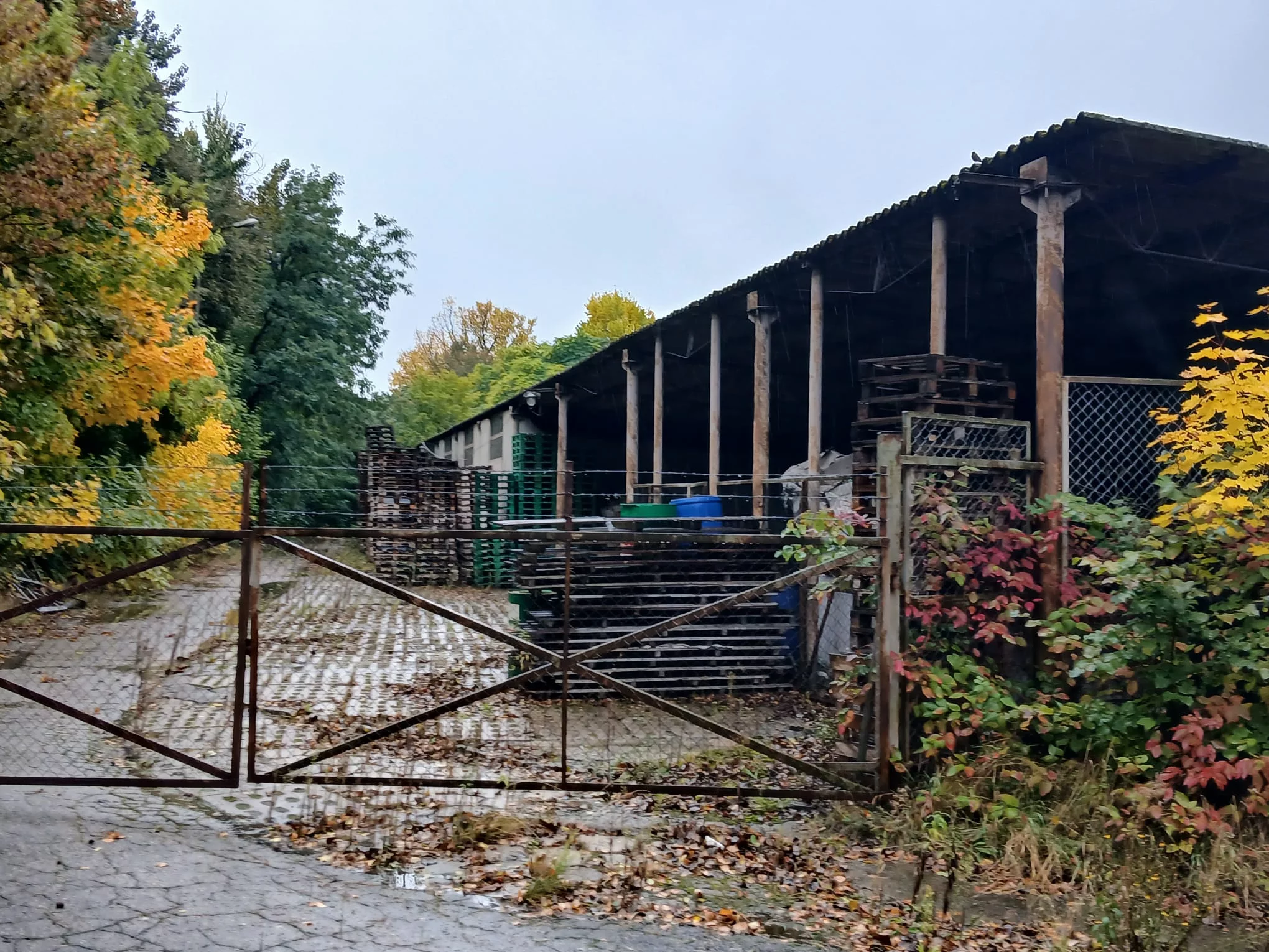 Obiekt 10 564,00 m², oferta nr , TTT-000001079, Trzcianka