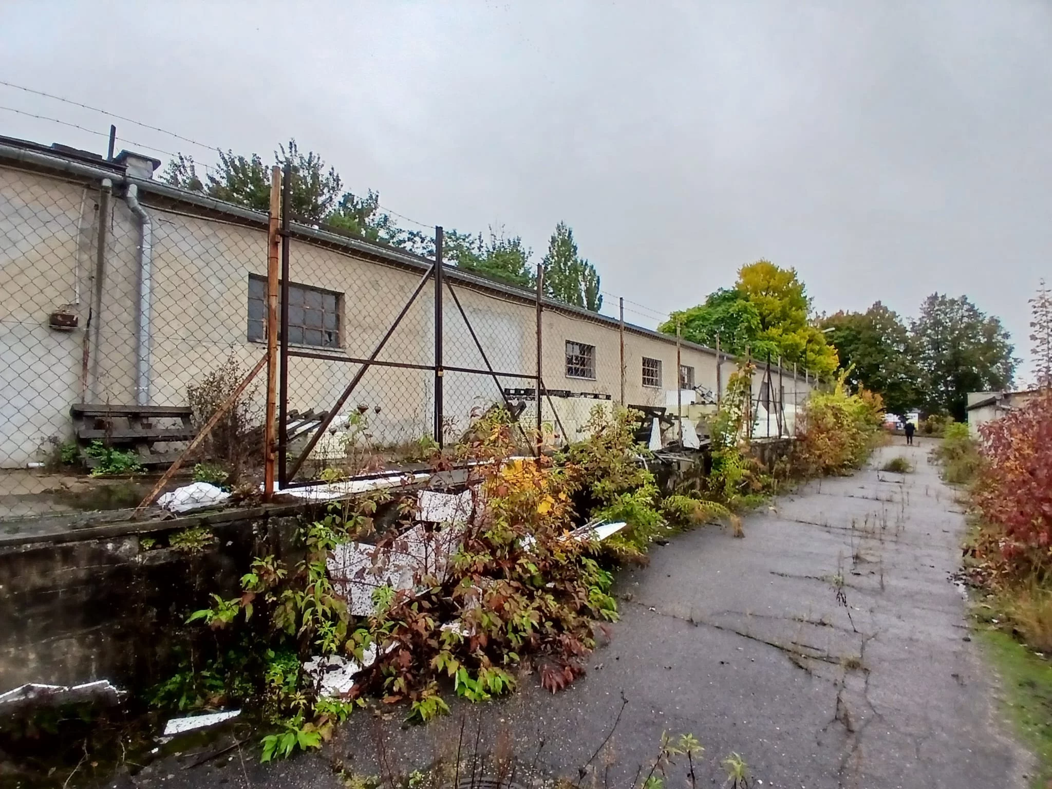 Obiekt 10 564,00 m², oferta nr , TTT-000001079, Trzcianka