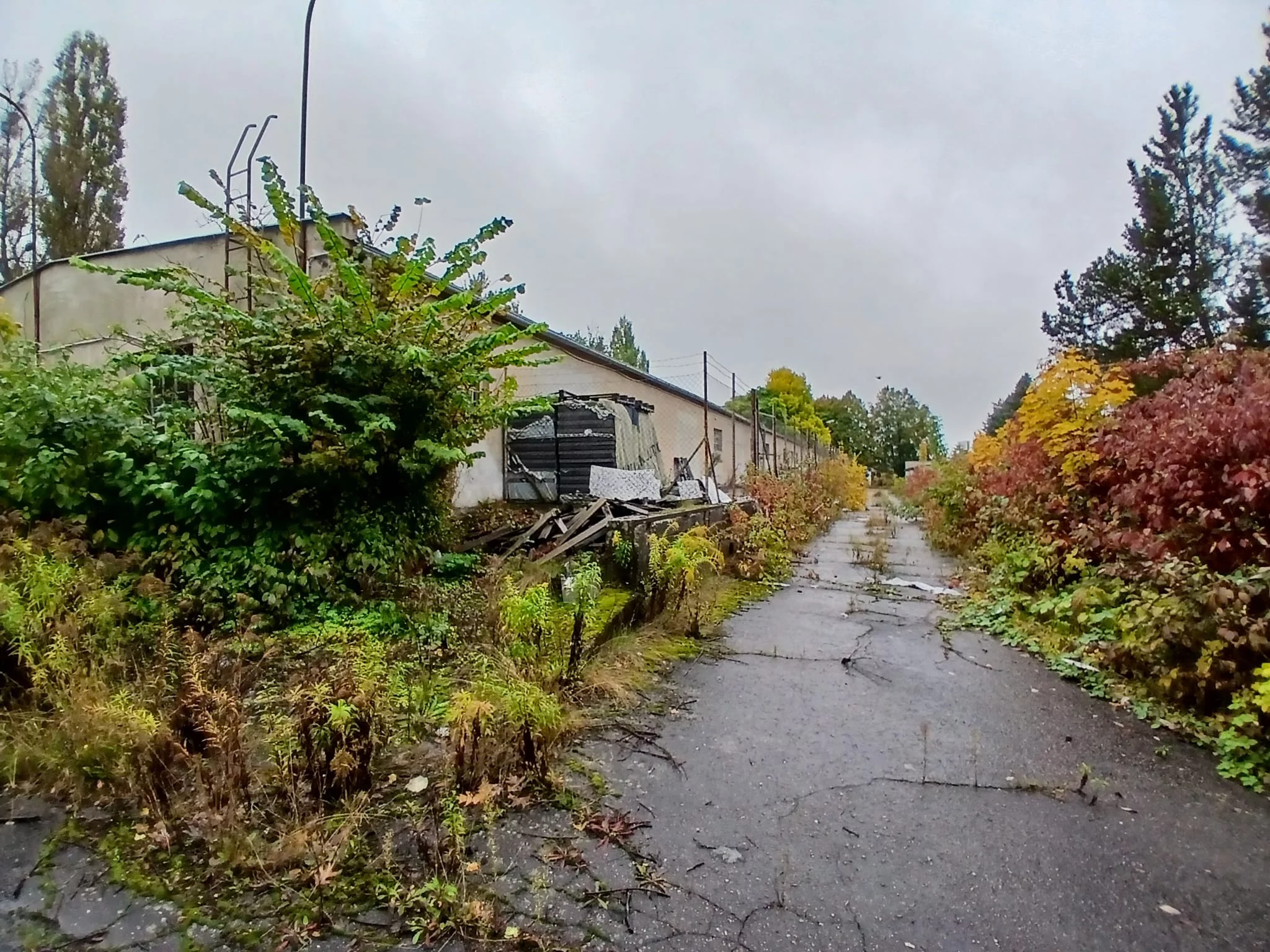 Obiekt 10 564,00 m², oferta nr , TTT-000001079, Trzcianka